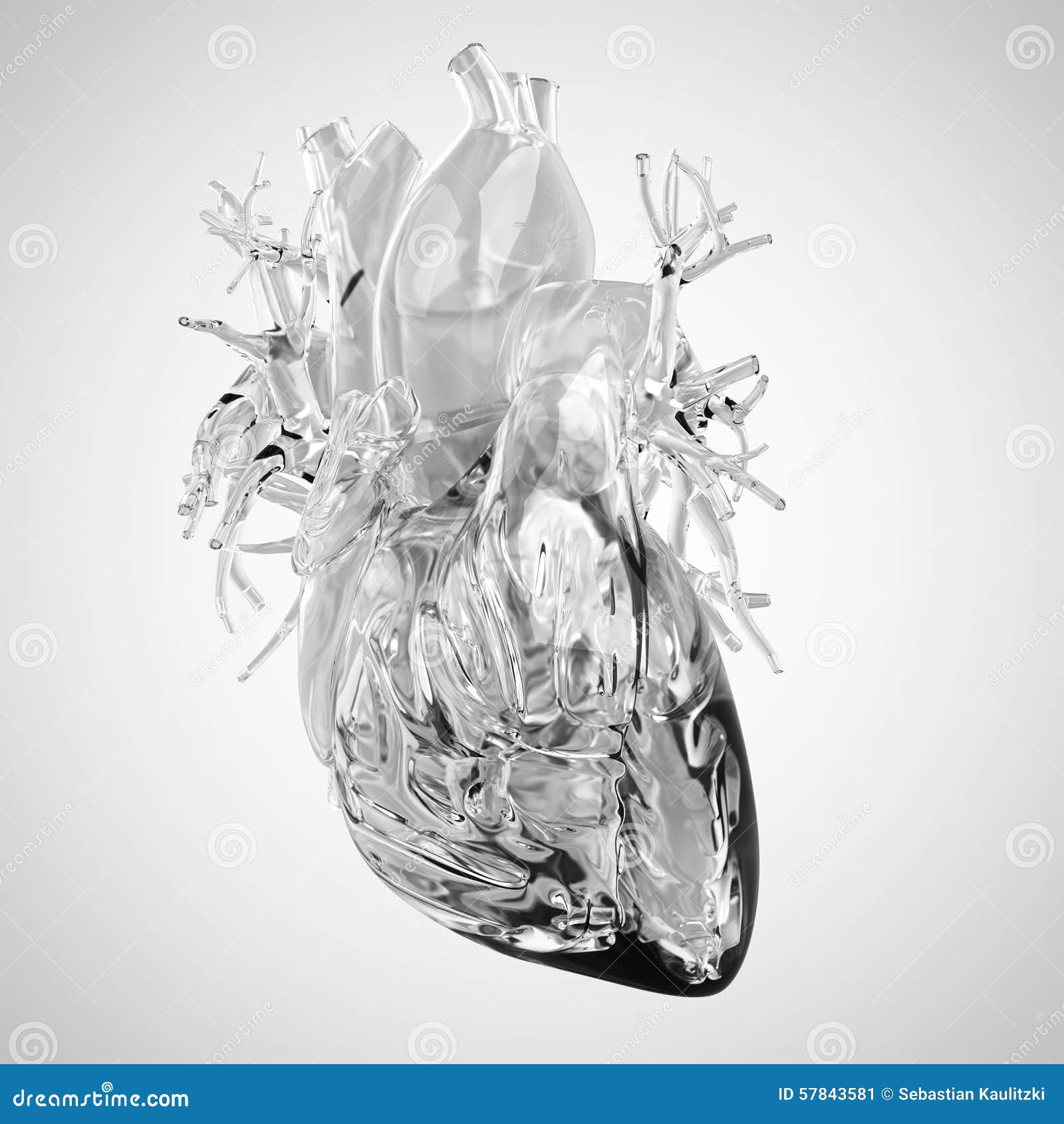 Human heart made of glass stock illustration. Illustration of body