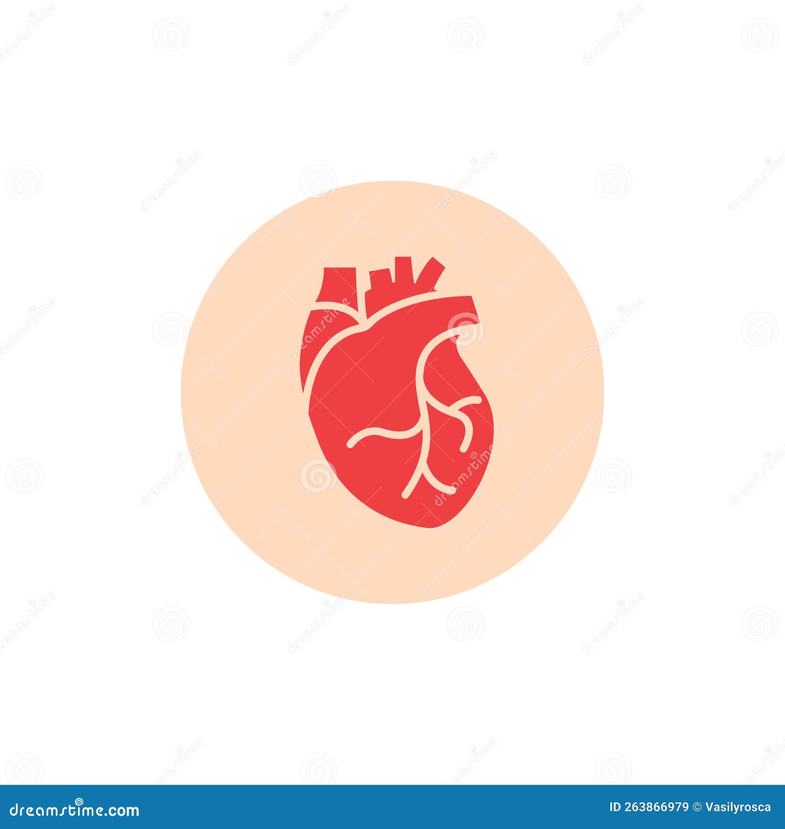 Human Heart Medical Vector Desease Cardiovascular Organ Anatomy