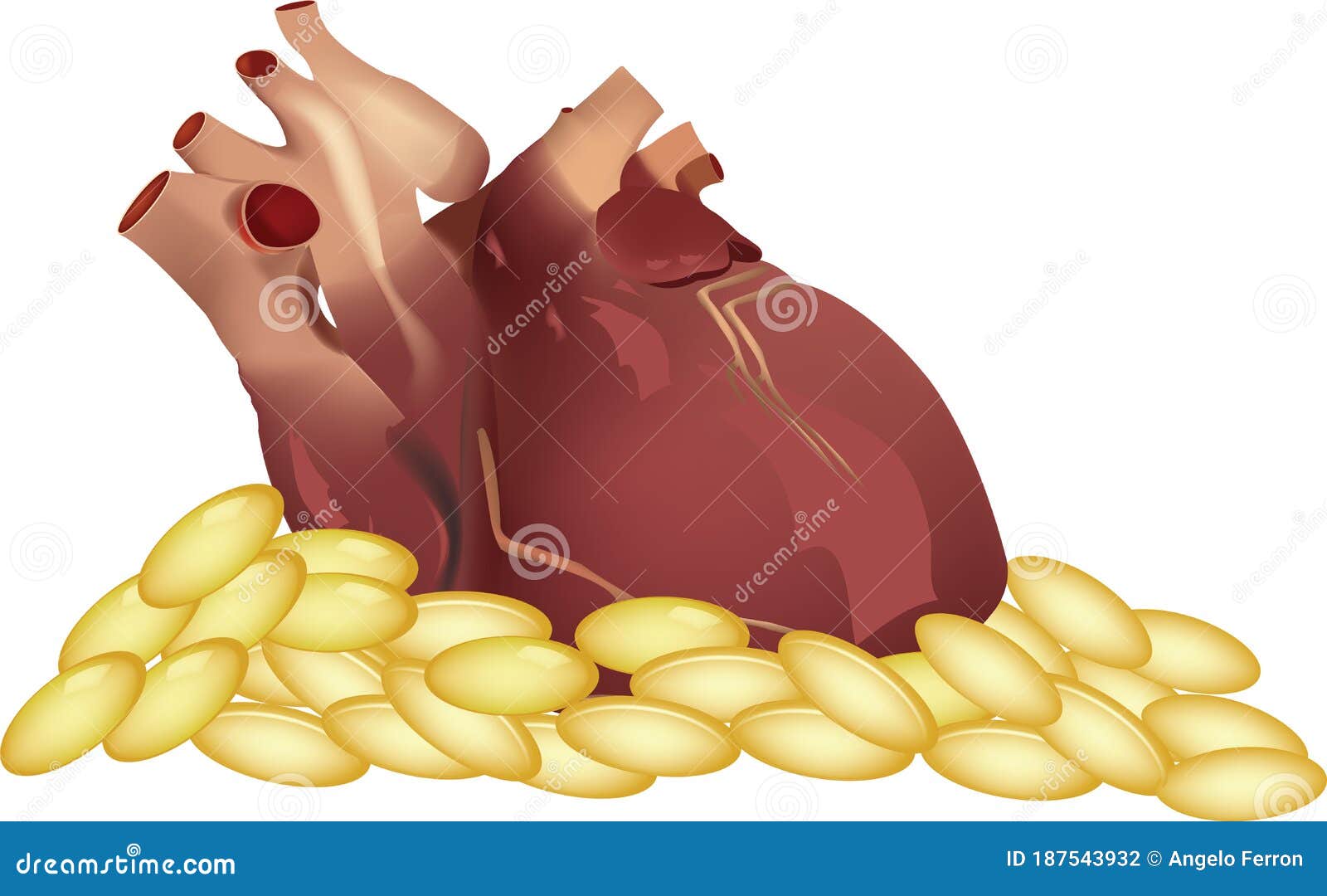 human heart organ over omega pills