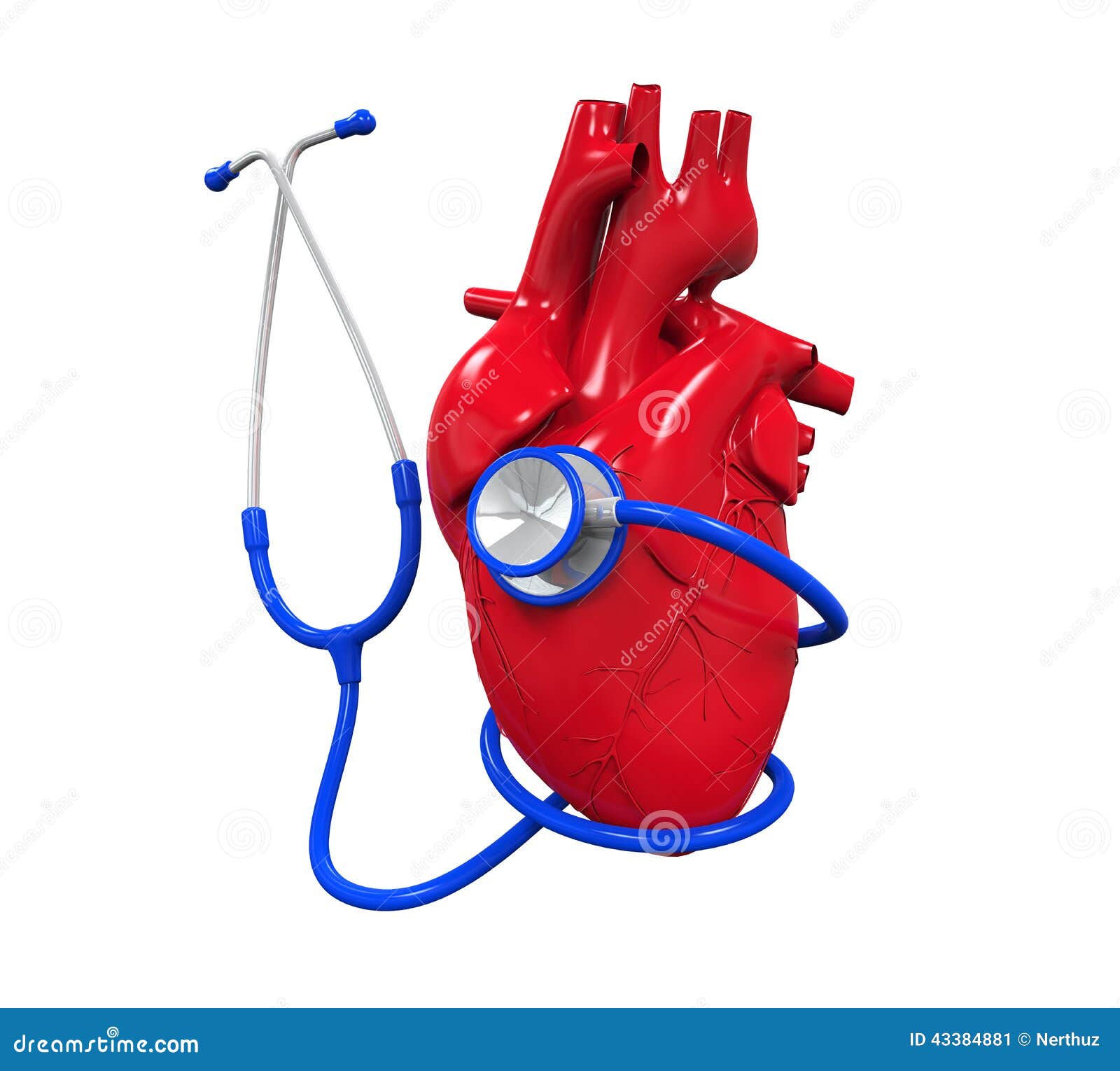 Human Heart and Stethoscope Stock Illustration Illustration of care