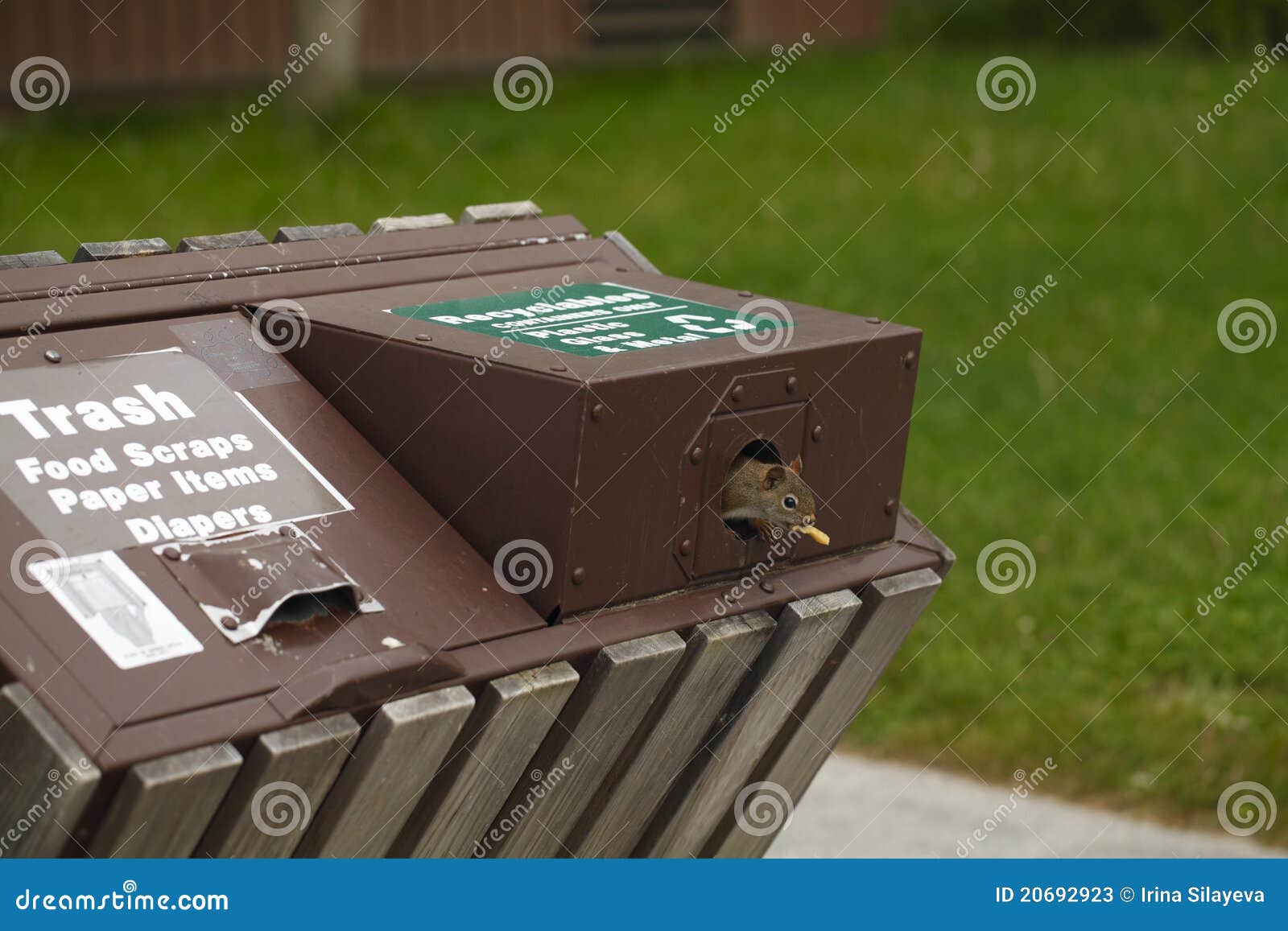 Human Impact on Wildlife editorial stock photo. Image of recycling