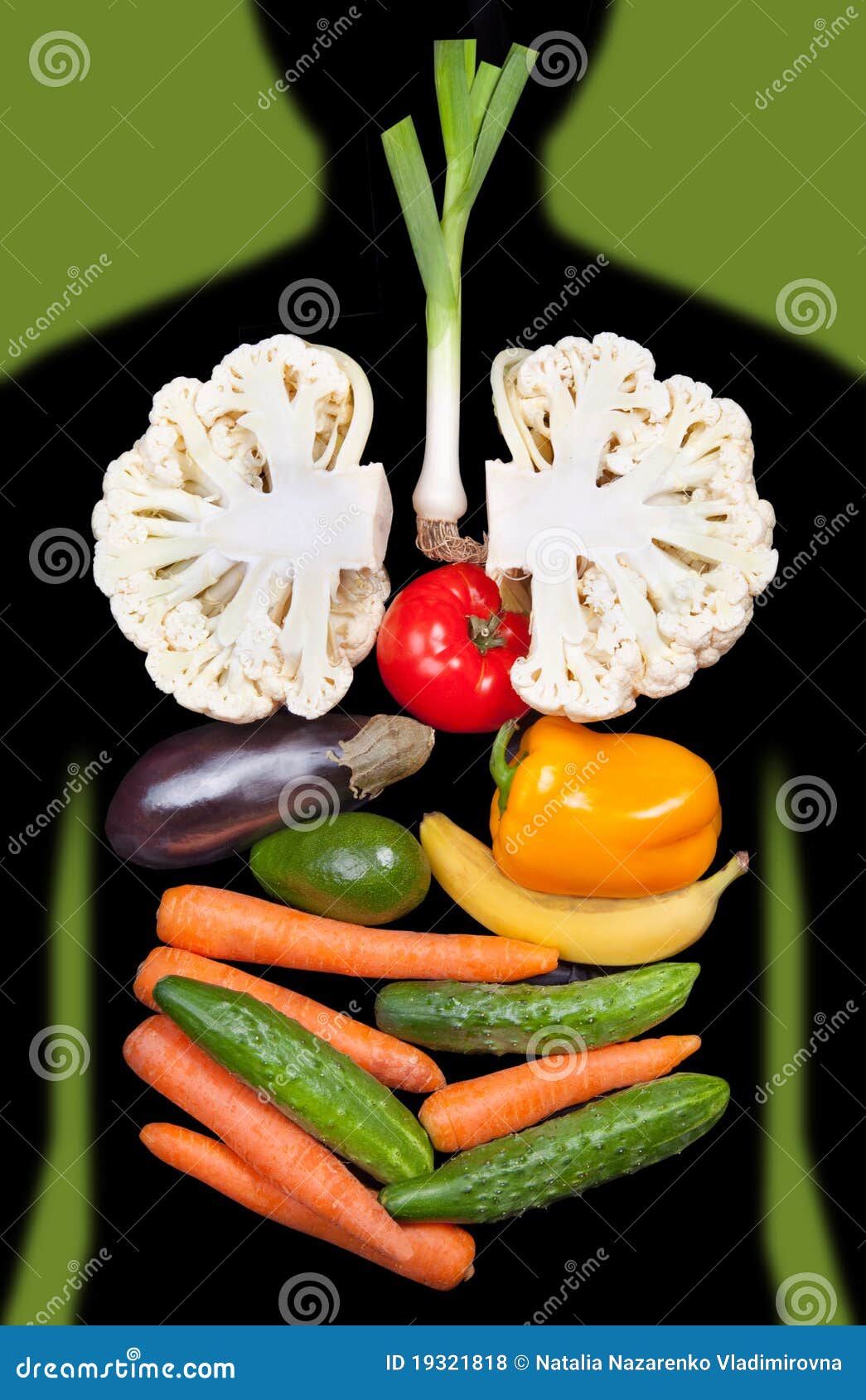 human internal organs lined with vegetables