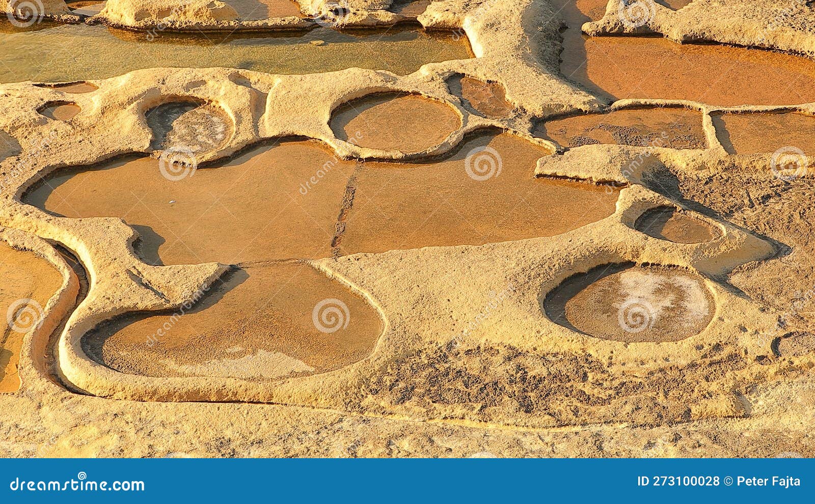 And human intervention 2 stock photo. Image of wood 273100028