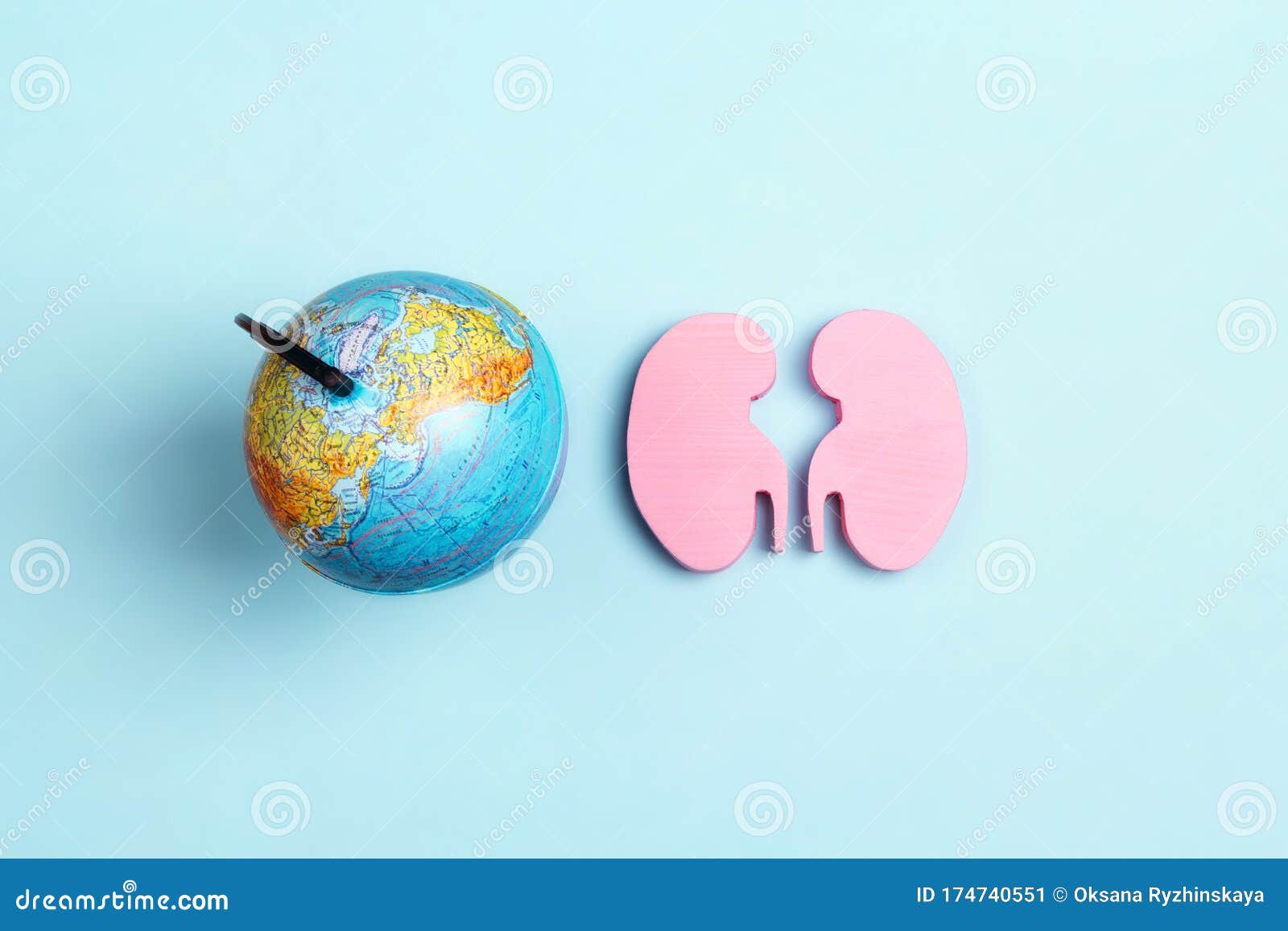 Human Kidney Symbol with Globe on Blue Background. World Kidney Day ...