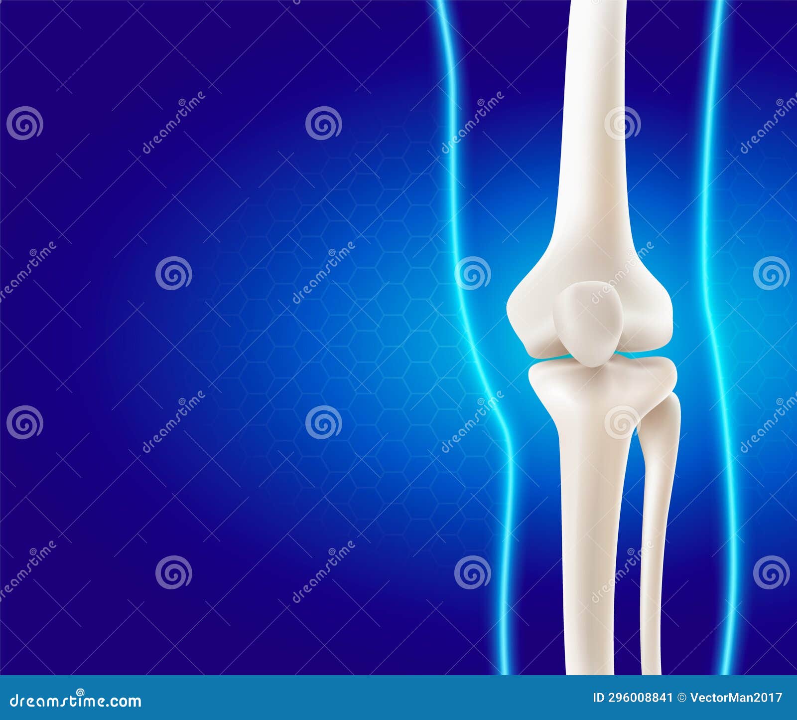 Human Leg and Knee Bones on Blue Background Stock Vector Illustration