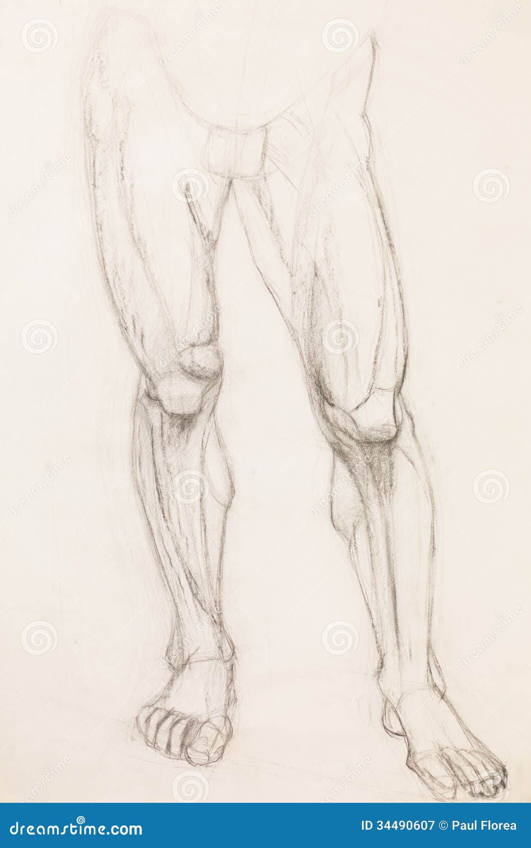 How to Draw Legs for Beginners in 7 Easy Steps  Anatomy of a Sketch