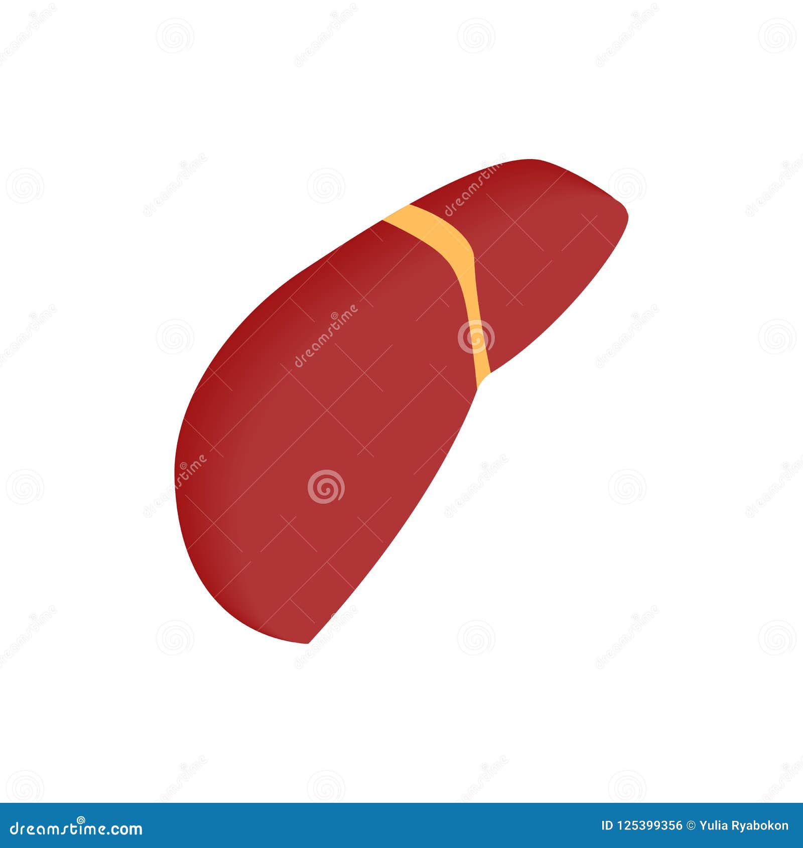 Human Liver Isometric 3d Icon Stock Illustration - Illustration of ...