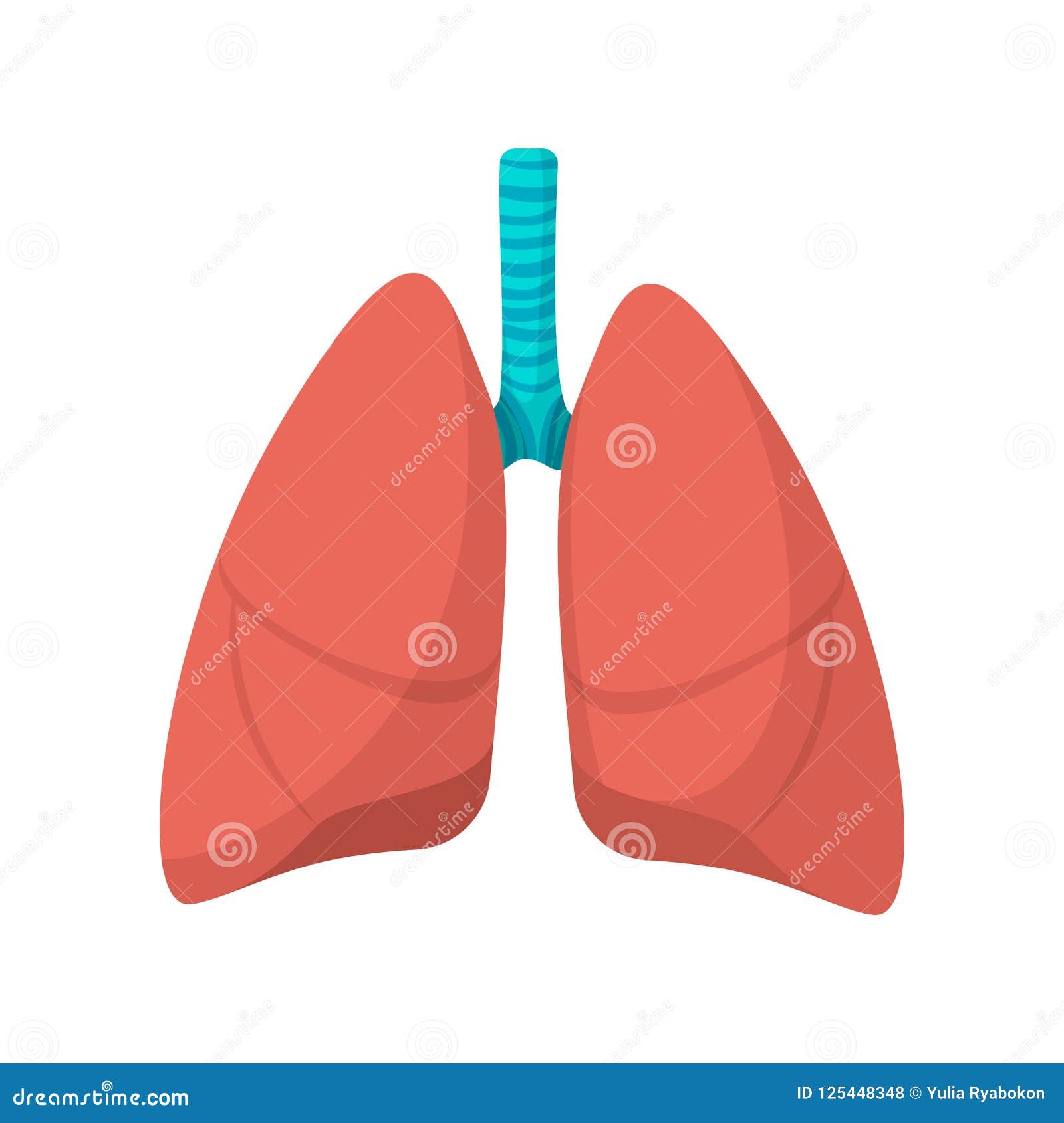 Human lungs cartoon icon stock illustration. Illustration of breath -  125448348