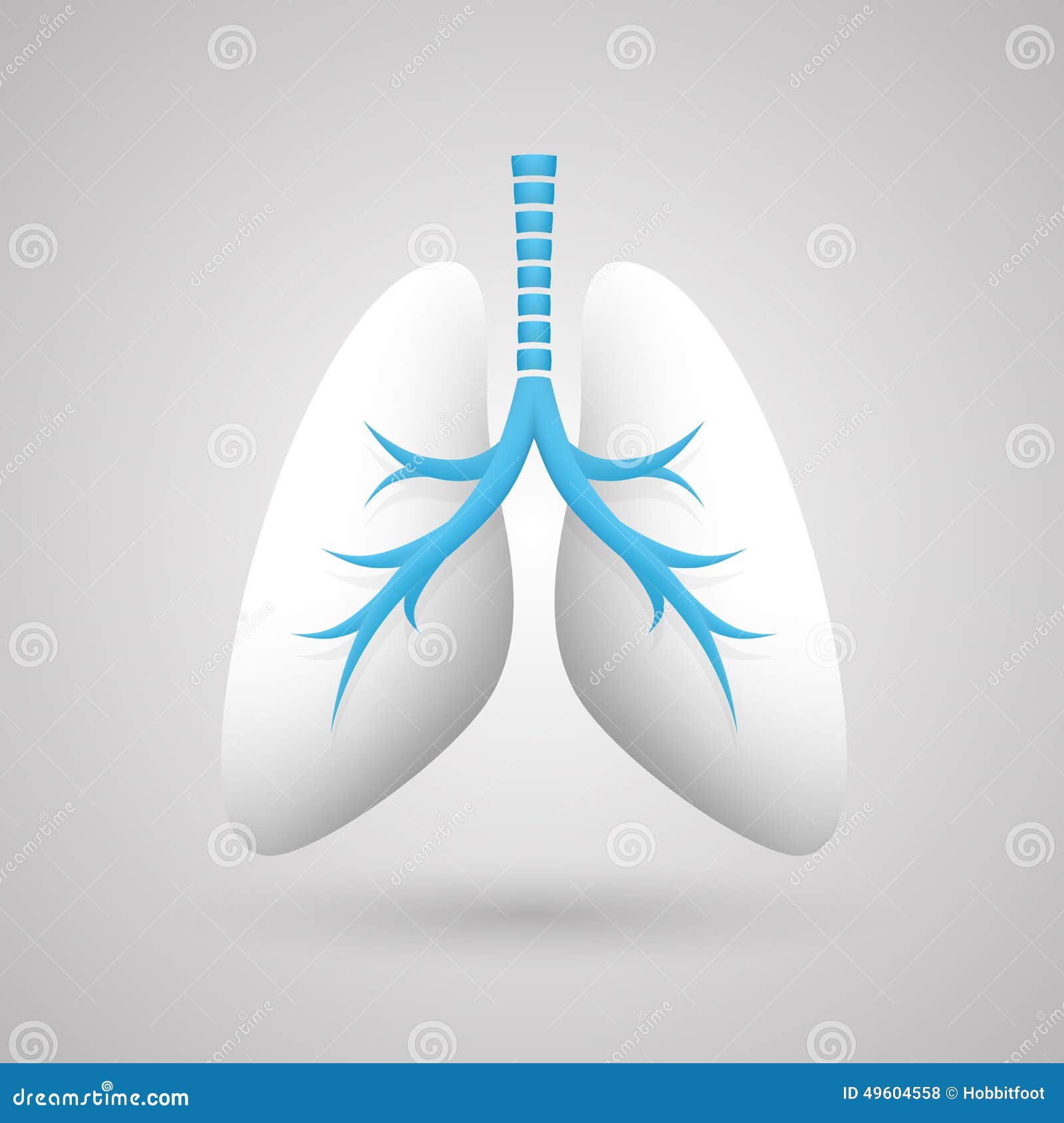 Human Lungs Medical Art Creative Stock Vector Illustration of healthy