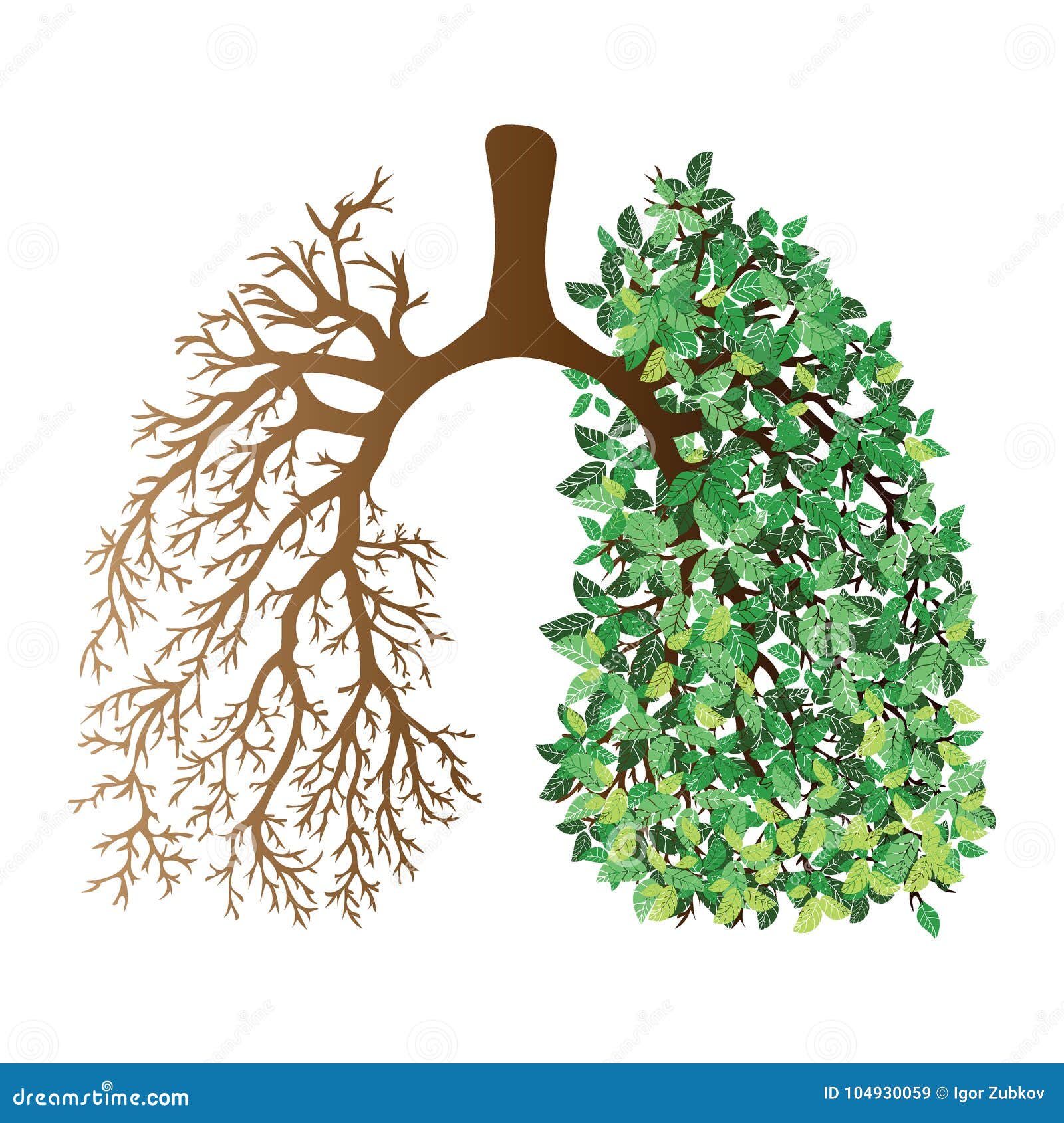 human lungs. respiratory system. healthy lungs. light in the form of a tree. line art. drawing by hand. medicine.