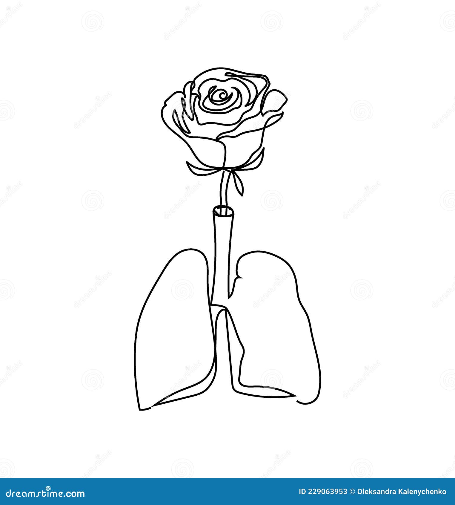 Human Lungs with a Rose One Line Set Art. Continuous Line Drawing of Internal Organ and Flowers Stock Vector - Illustration of science, internal: 229063953 Human Lungs with a Rose One Line Set Art. Continuous Line Drawing of Internal Organ and Flowers Stock Vector - Illustration of science, internal: 229063953