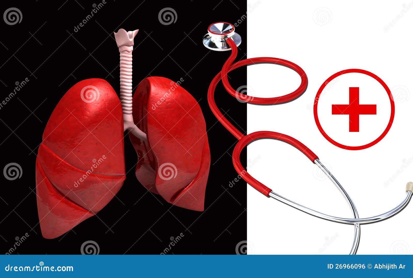 Human Lungs,stethoscope and Clinical Symbol Stock Illustration