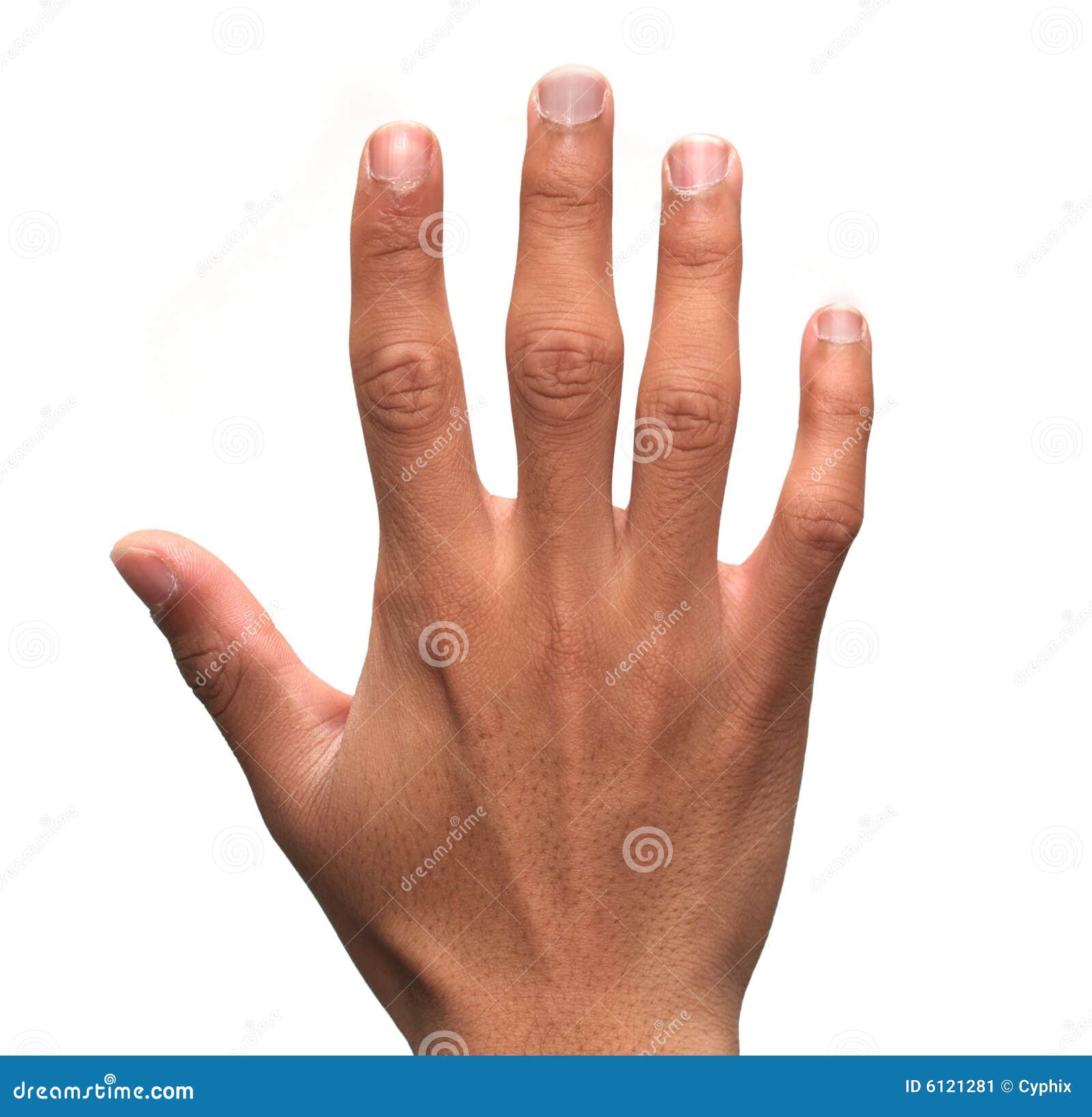 Human Male hand stock image. Image of fingers, five, male 6121281