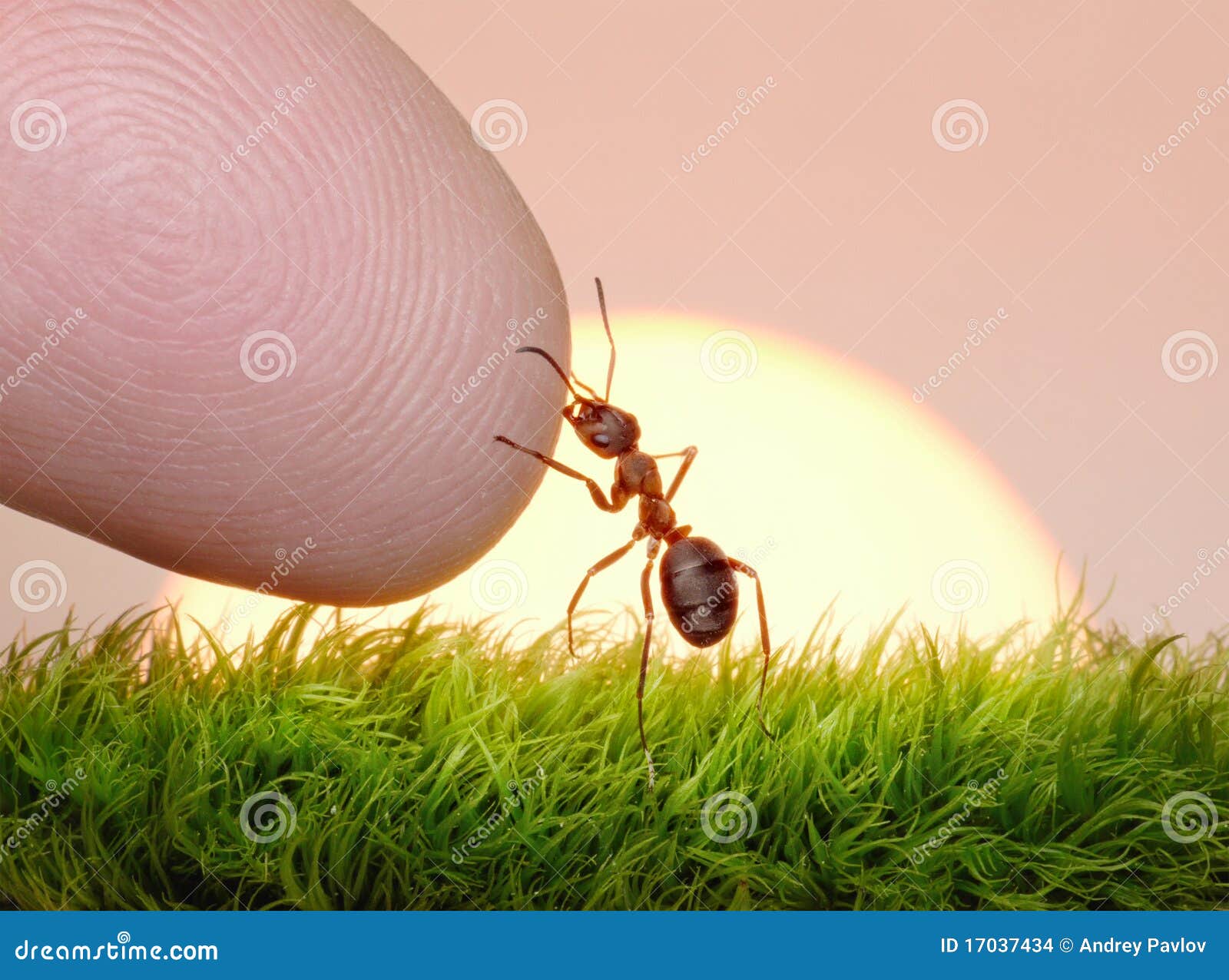 human, nature and ant - finger of friendship