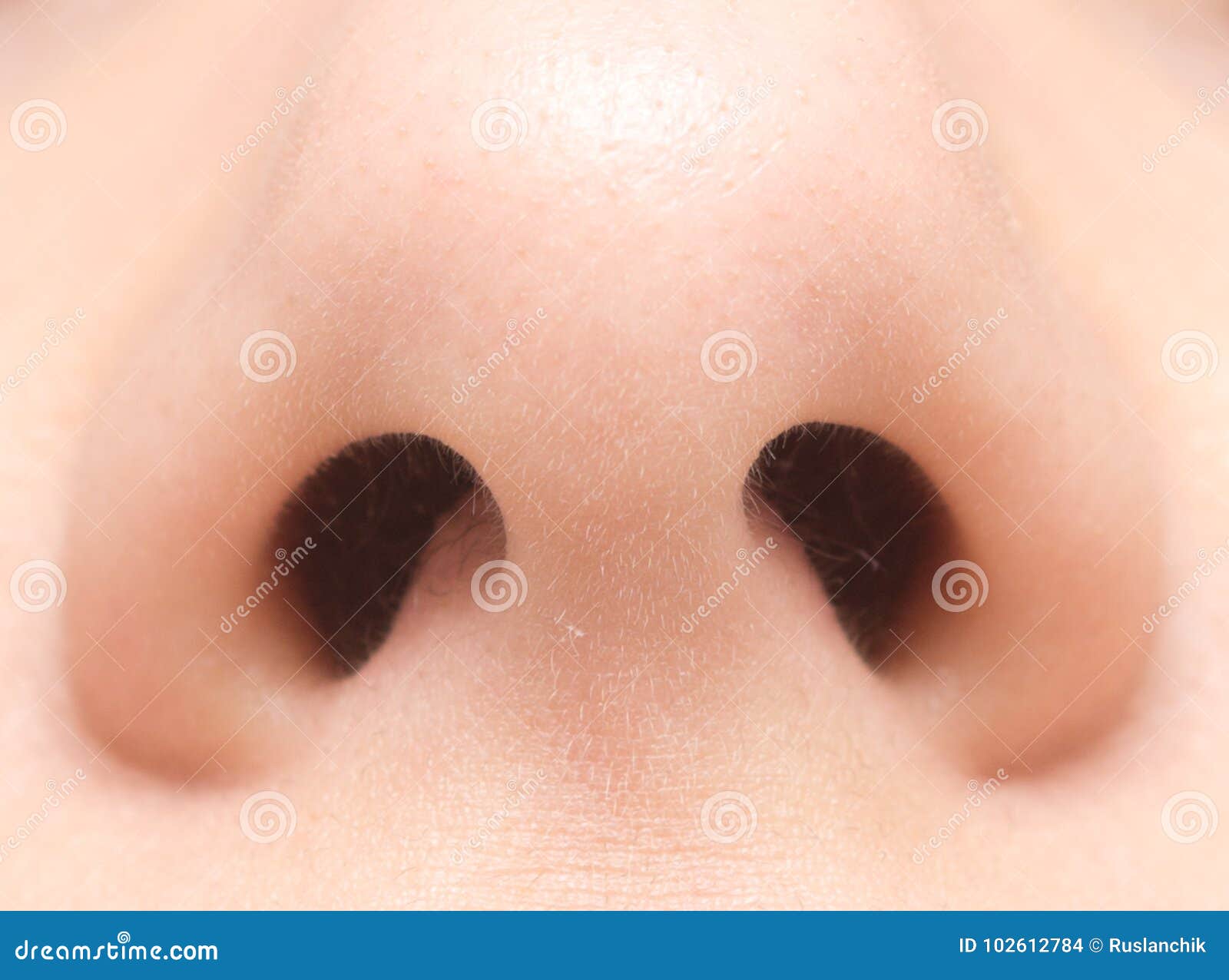Human nose stock photo. Image of nostril, isolated, woman 102612784