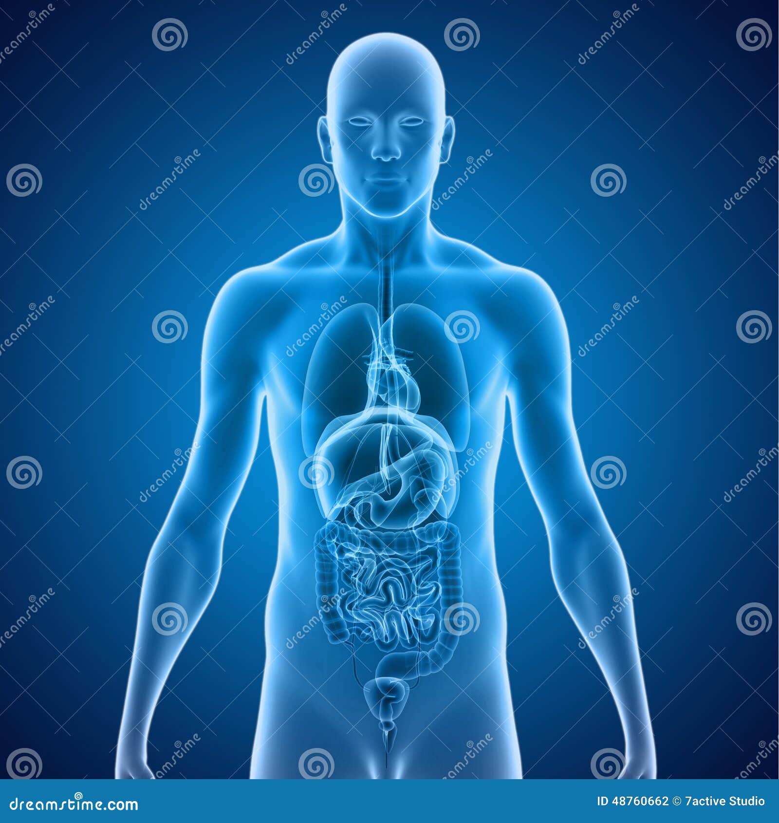 My Image 30