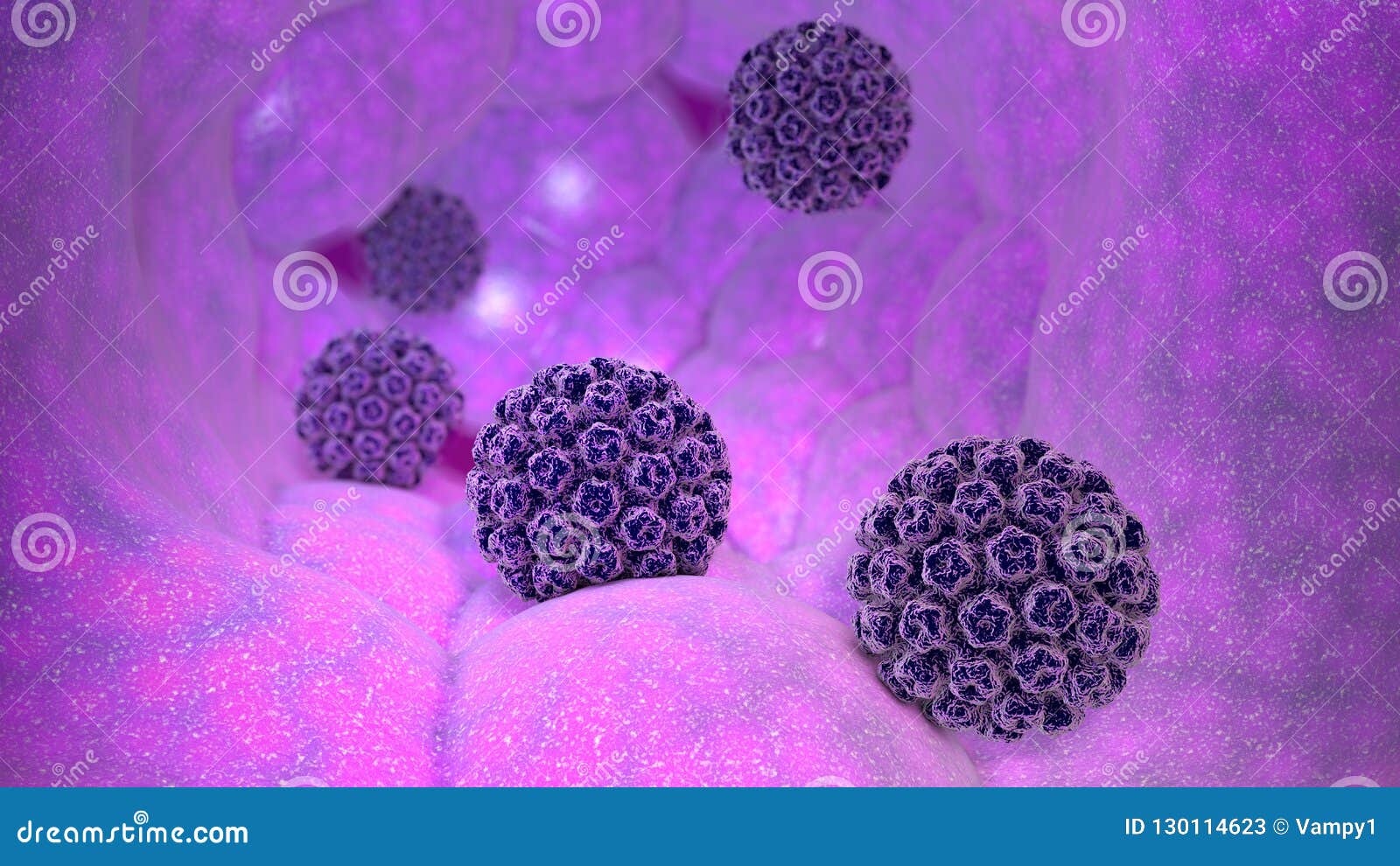 papillomavirus infection sexually transmitted platypelminthes viermi plat marini