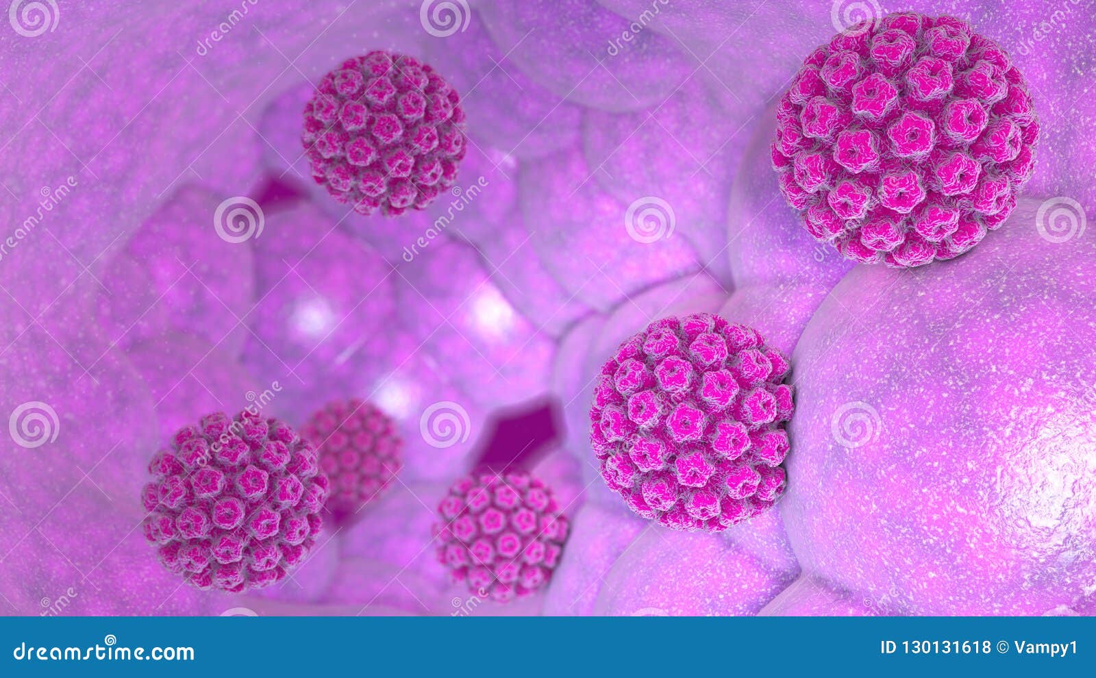 Papillomavirus humain( hpv), Mode de contamination du papillomavirus cheloo la