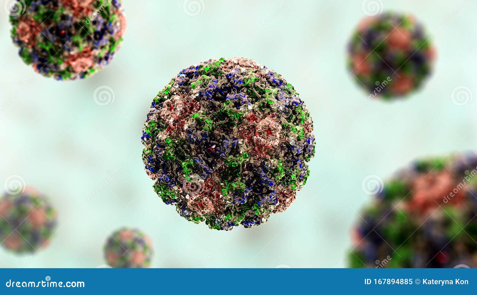 human papillomavirus molecular model