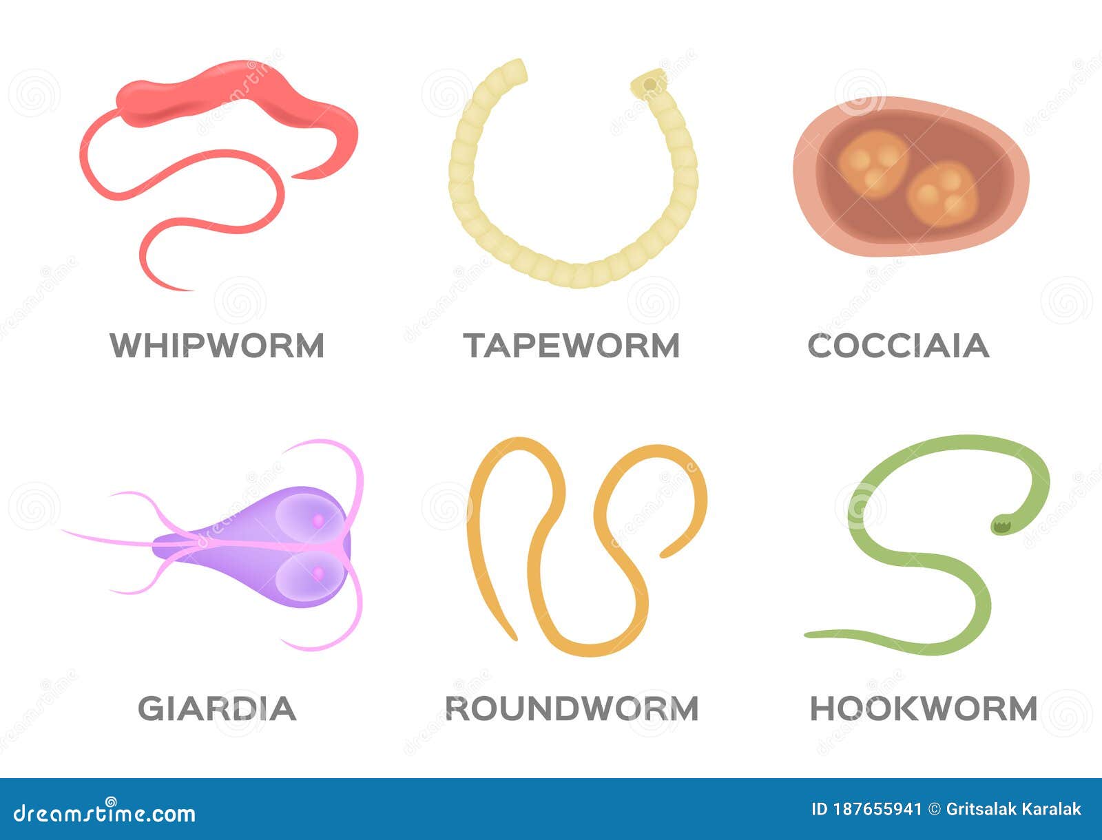 pinworms a giardiasis)
