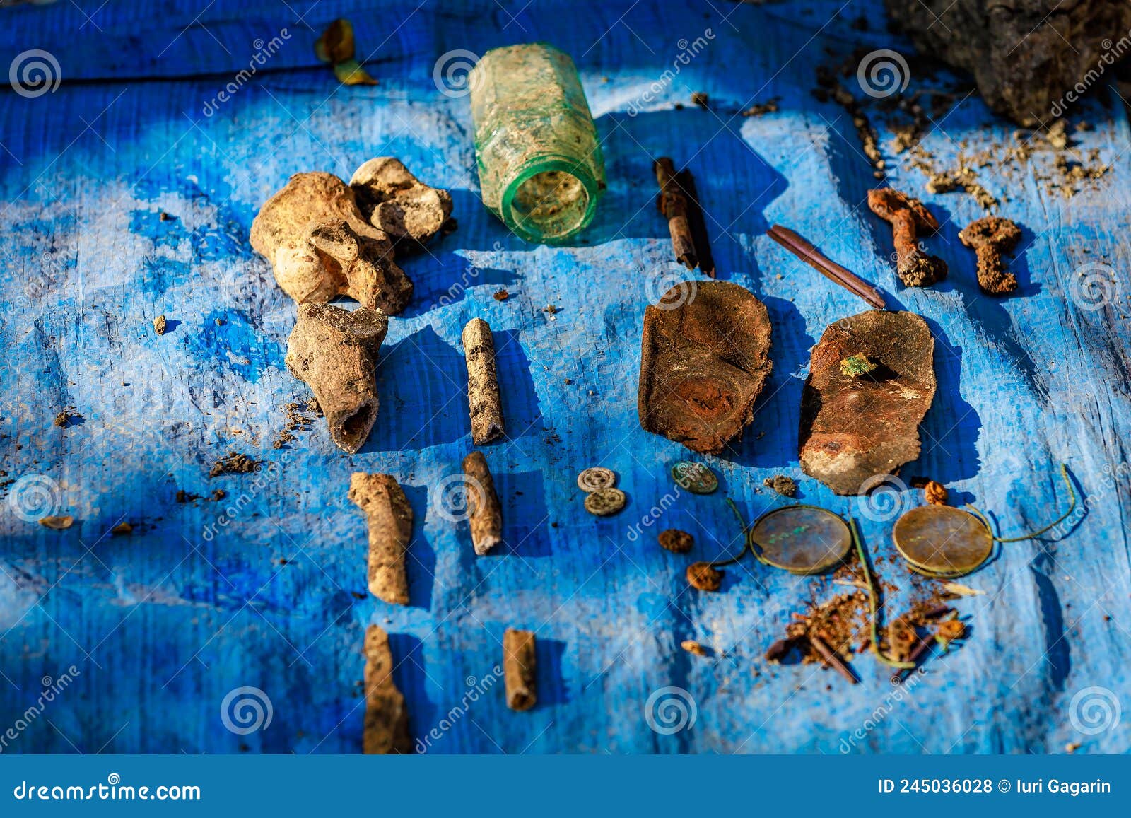 Forensic Pathologist. Doctor In Rubber Gloves Holding Human Skull Stock