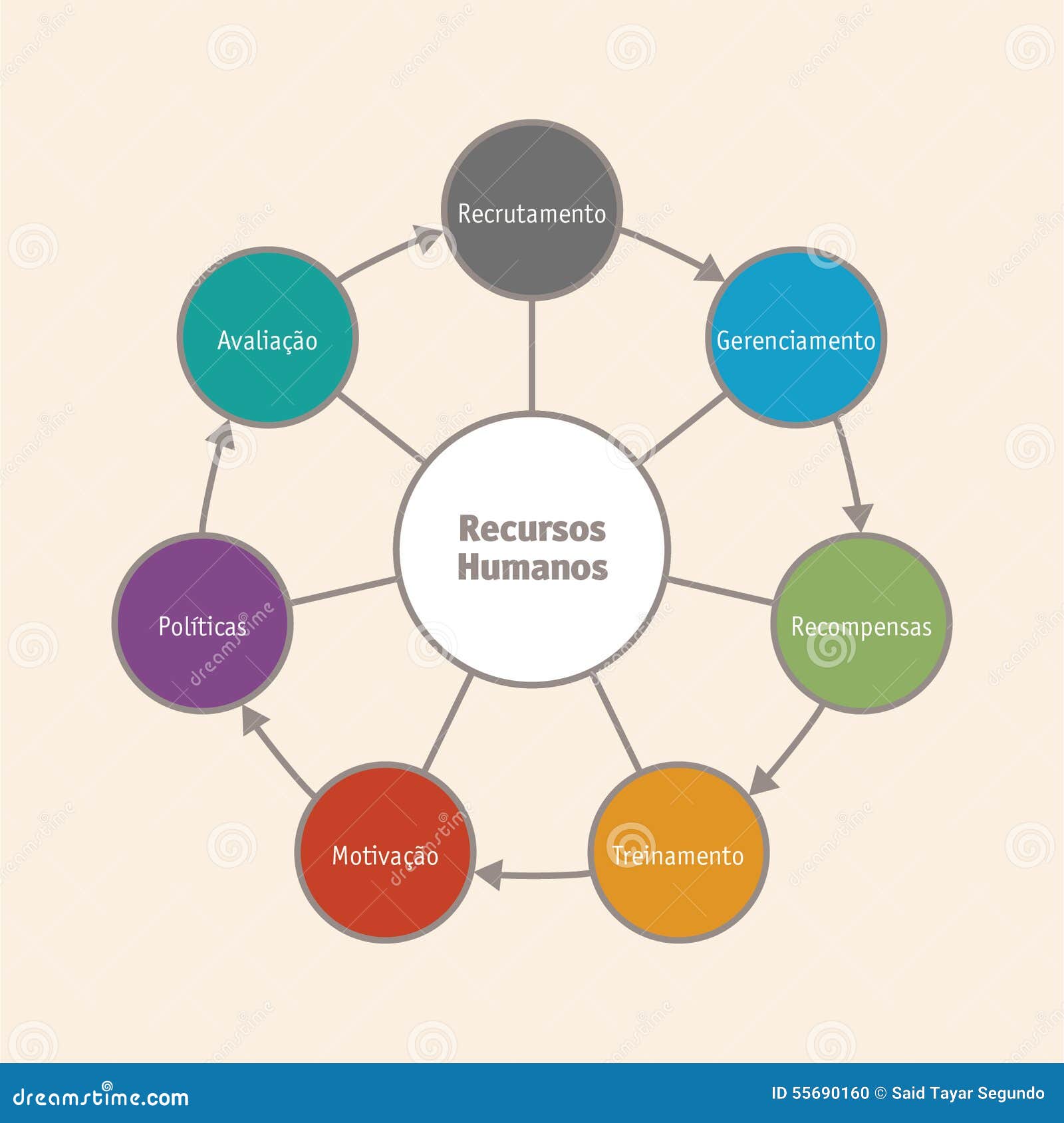 human resources cycle (portuguese version)