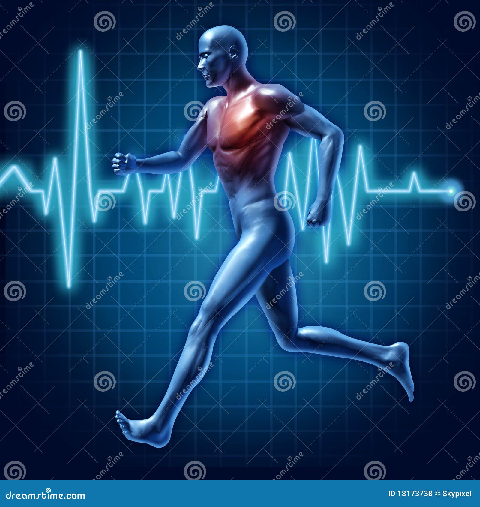 human running cardiovascular health medical 
