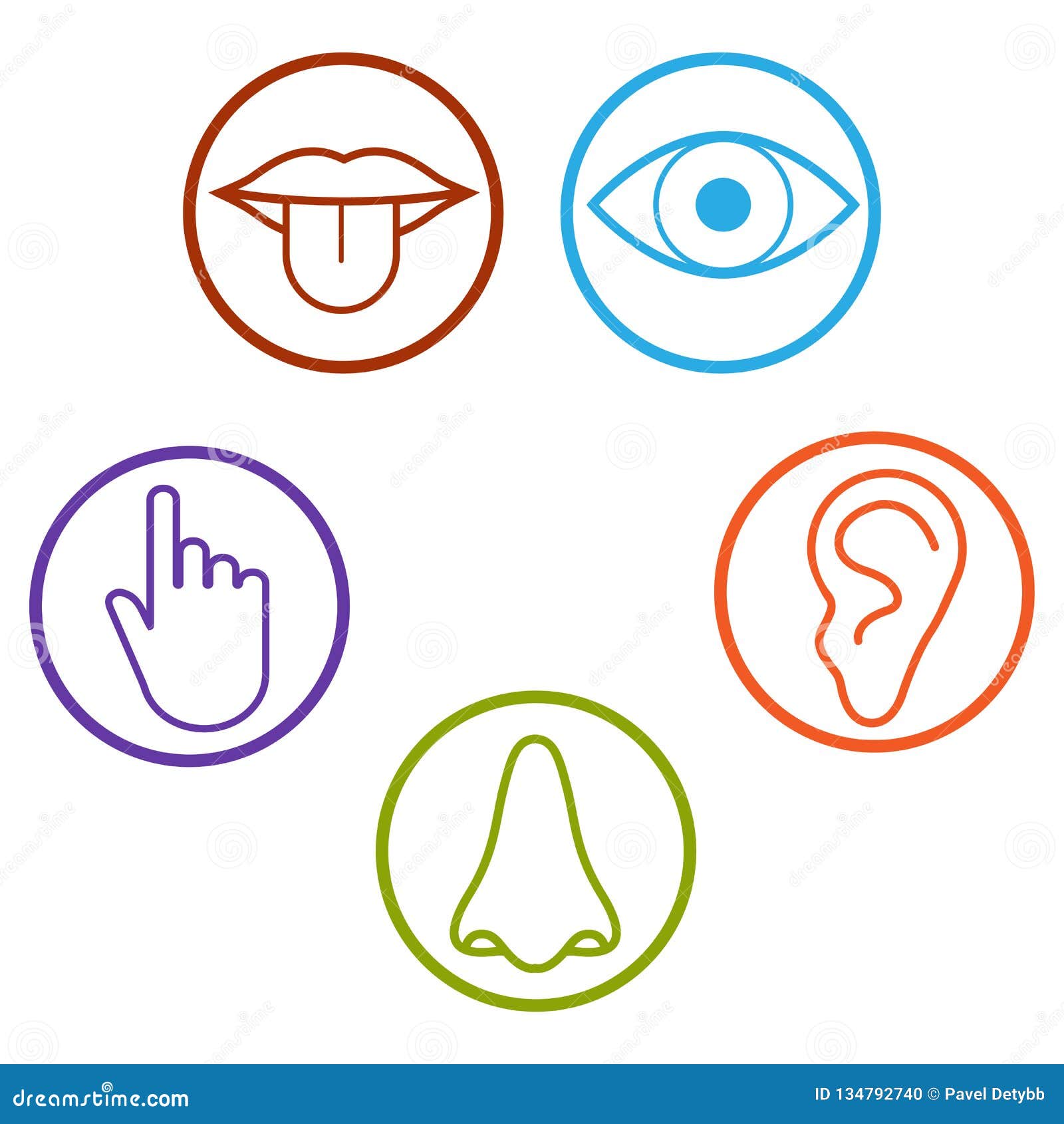 Human Senses Icon. Vector Illustration, Flat Design Stock Illustration ...