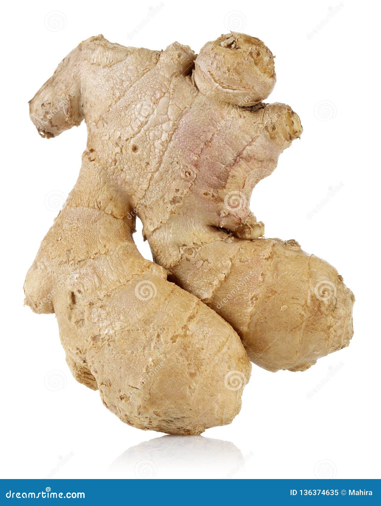 human-shaped-ginger-root-white-background-human-shaped-ginger-root-isolated-white-background-136374635.jpg