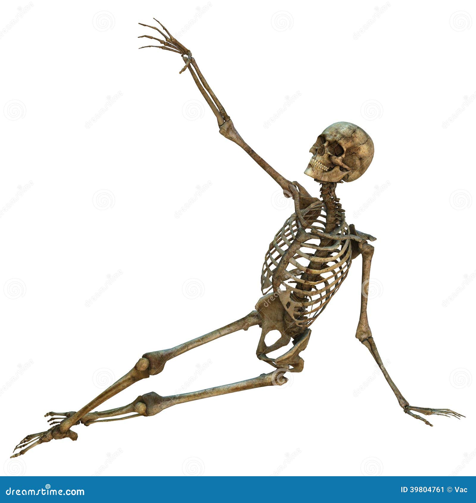 human-skeleton-d-digital-render-old-isolated-white-background-39804761.jpg