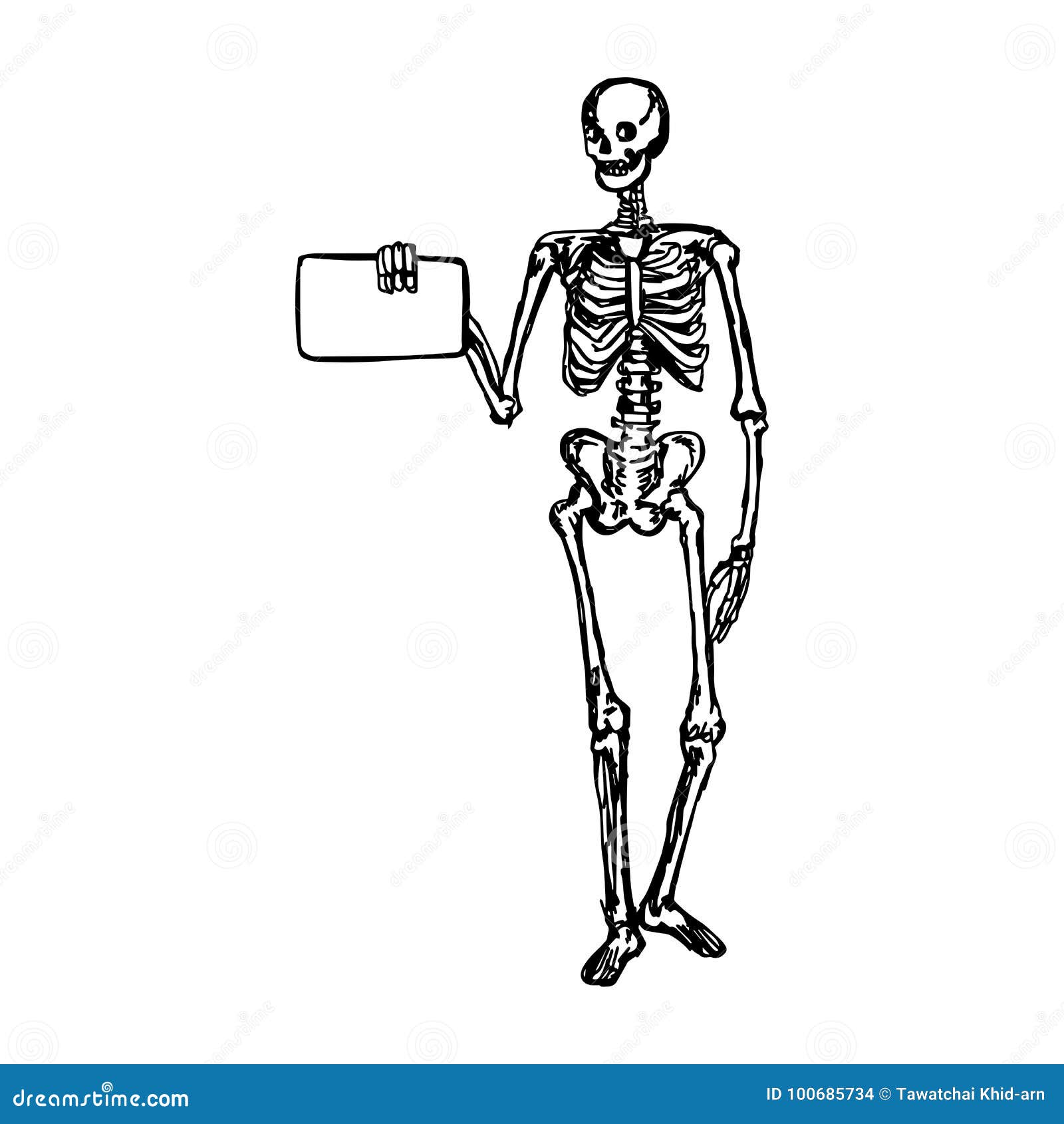 Human Skeleton Holding Blank Sign Or Board Vector