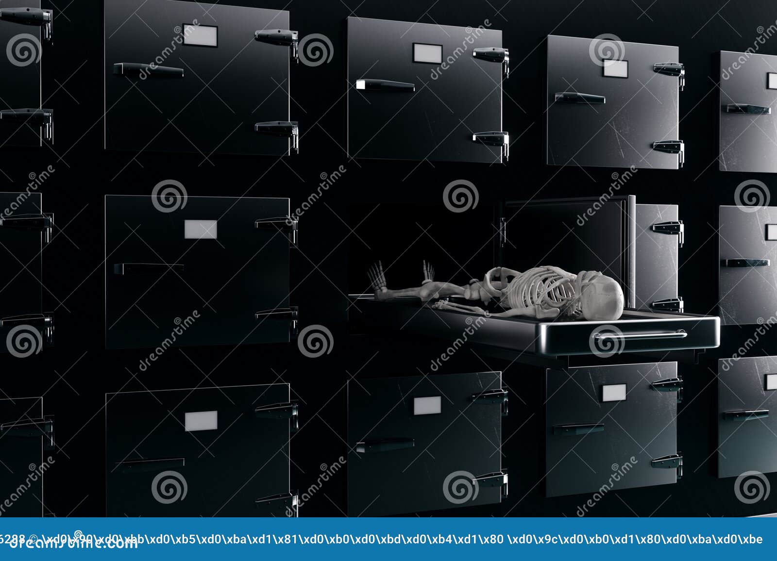 A Human Skeleton Lies On A Table In The Concept Of Exhumation