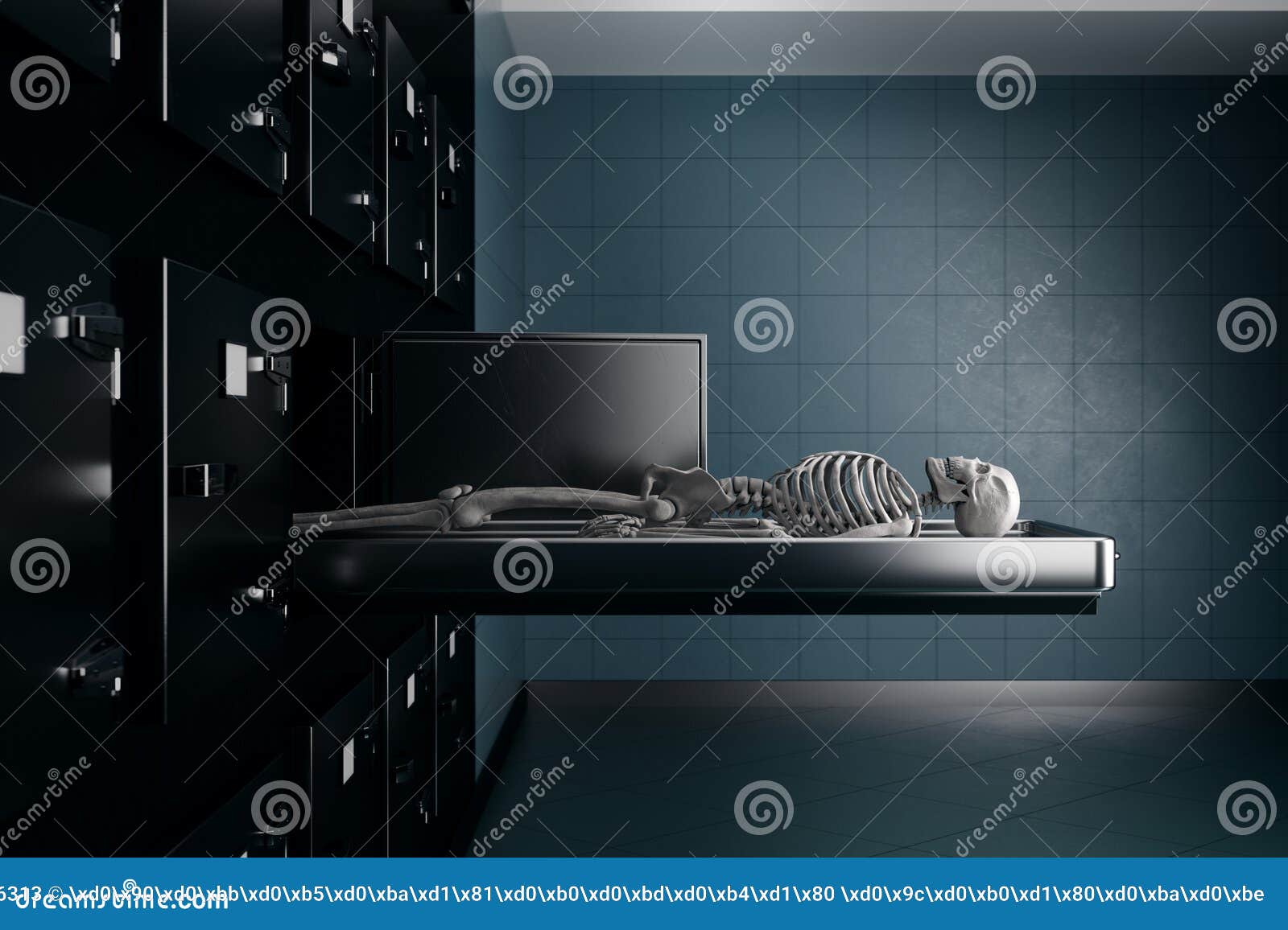 A Human Skeleton Lies On A Table In The Concept Of Exhumation