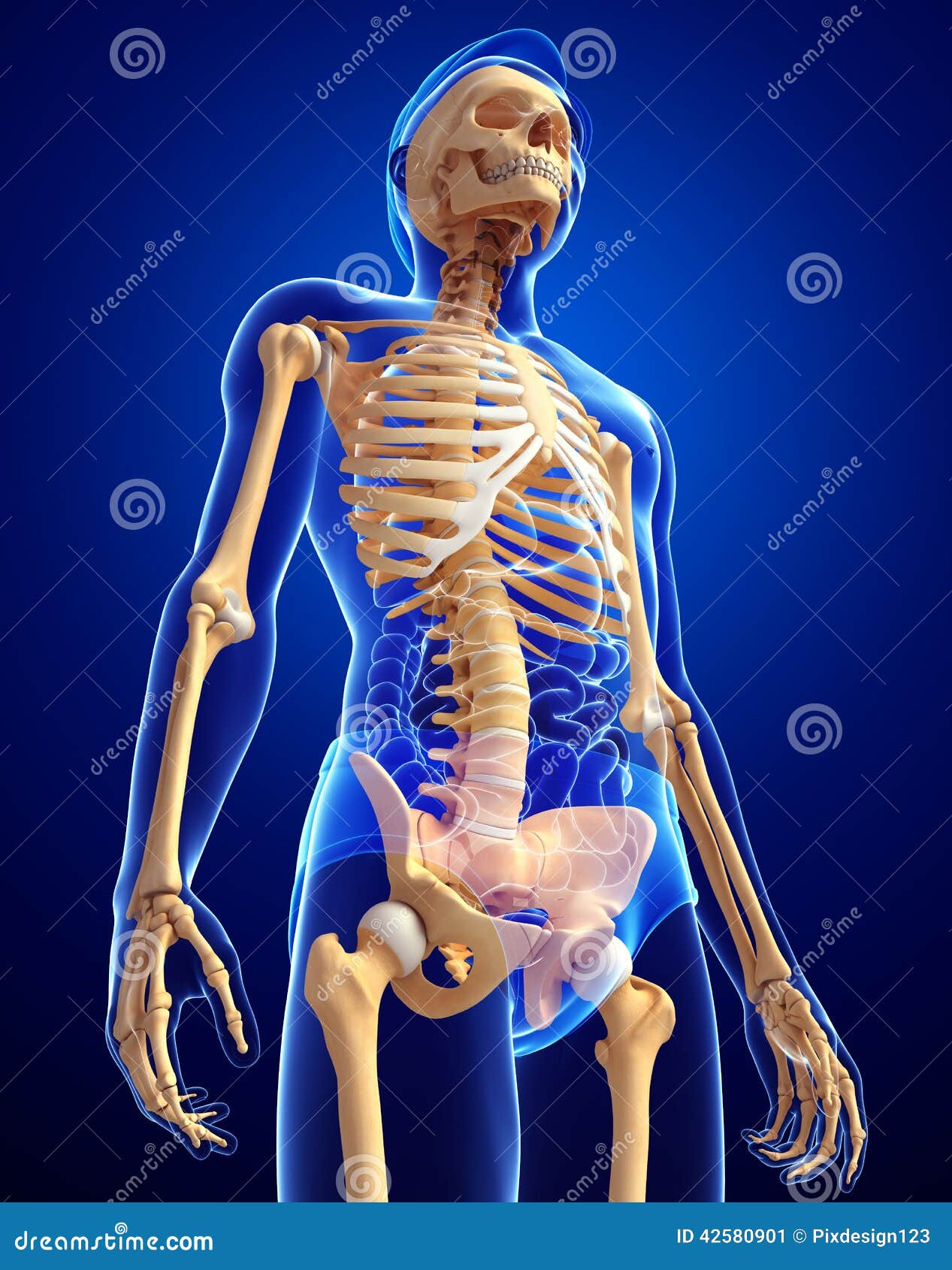 which are considered part of anatomic dead space