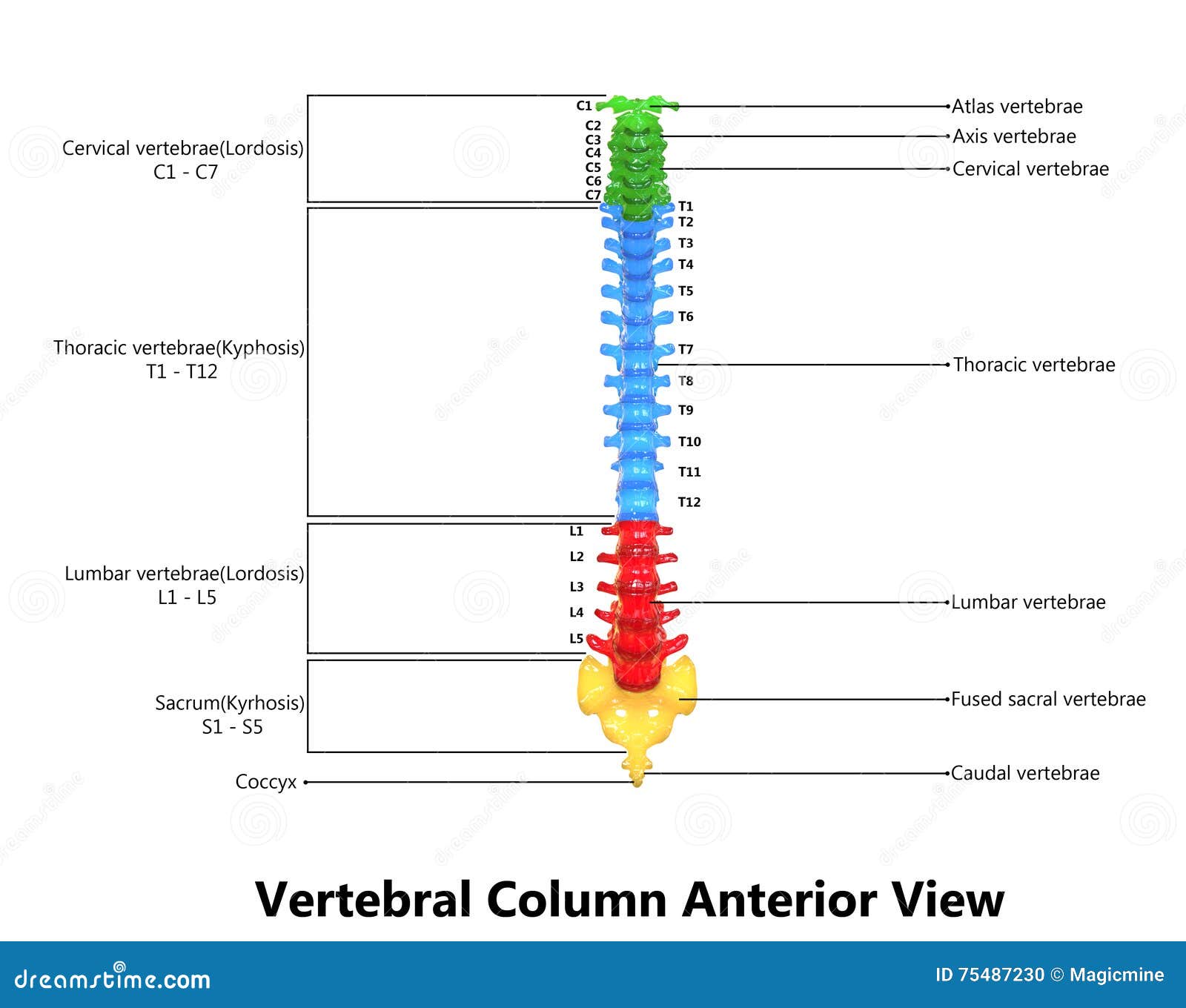 download structure and interpretation of computer