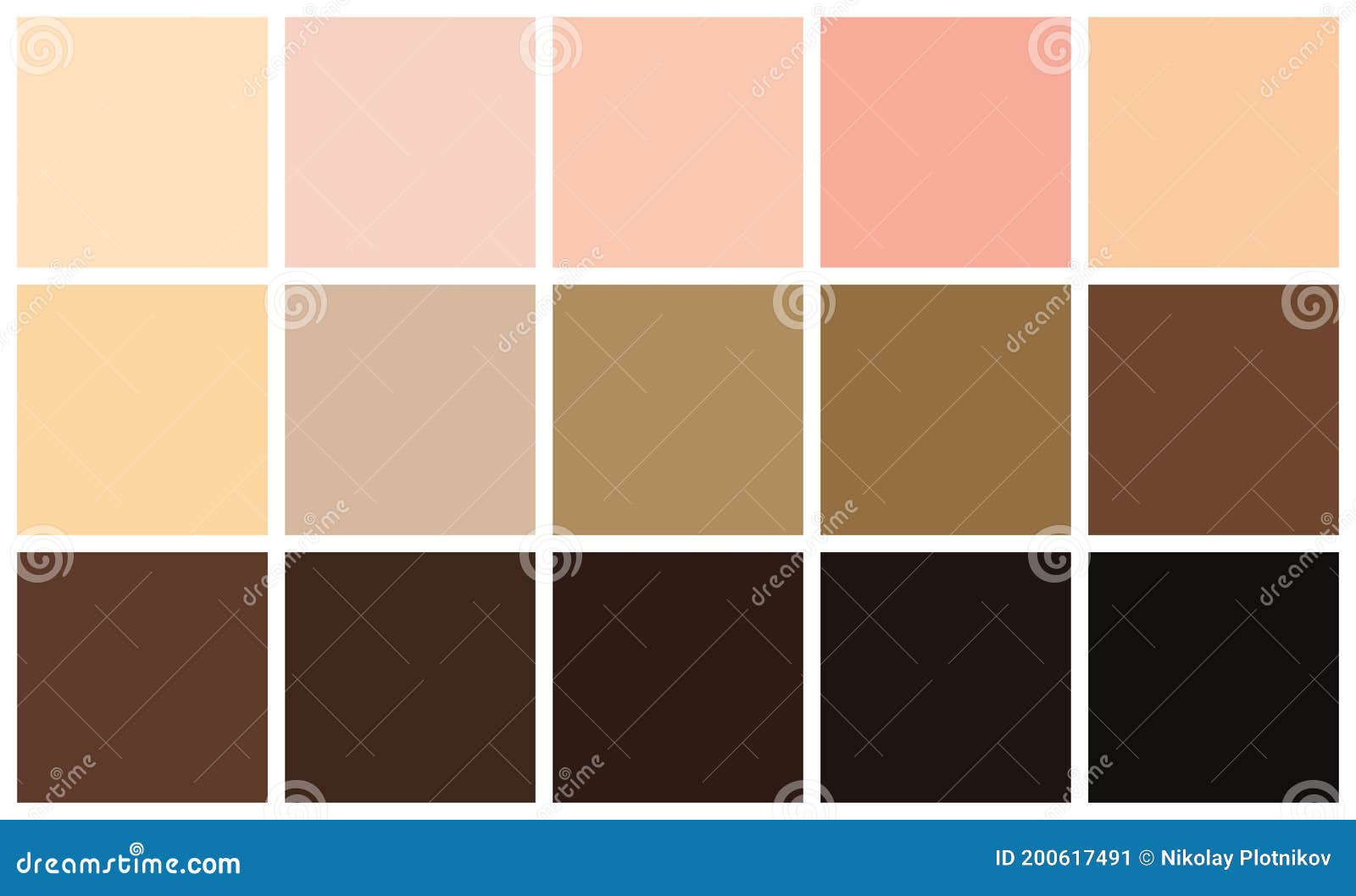 Human Skin Tones Color Palette Set. Skin Color from the Lightest To ...