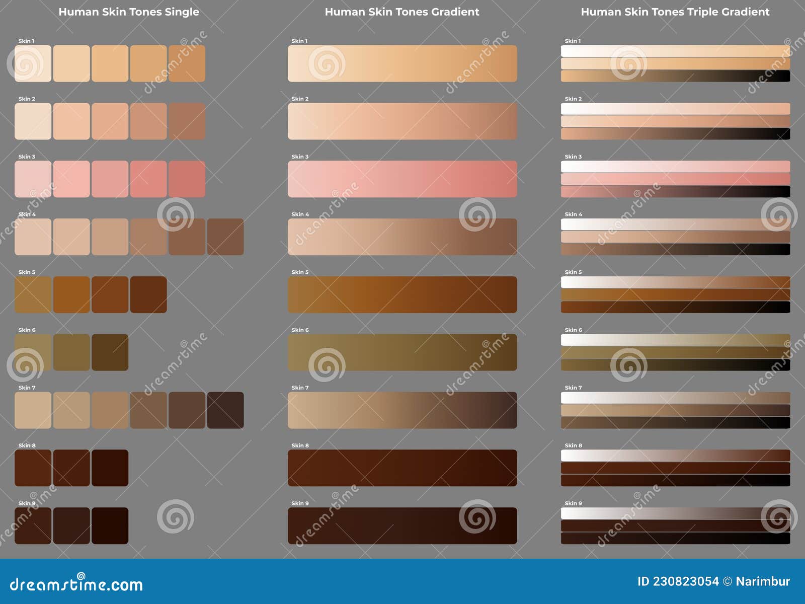 Human Skin Tones in Three Different Charts with Gradients Stock ...