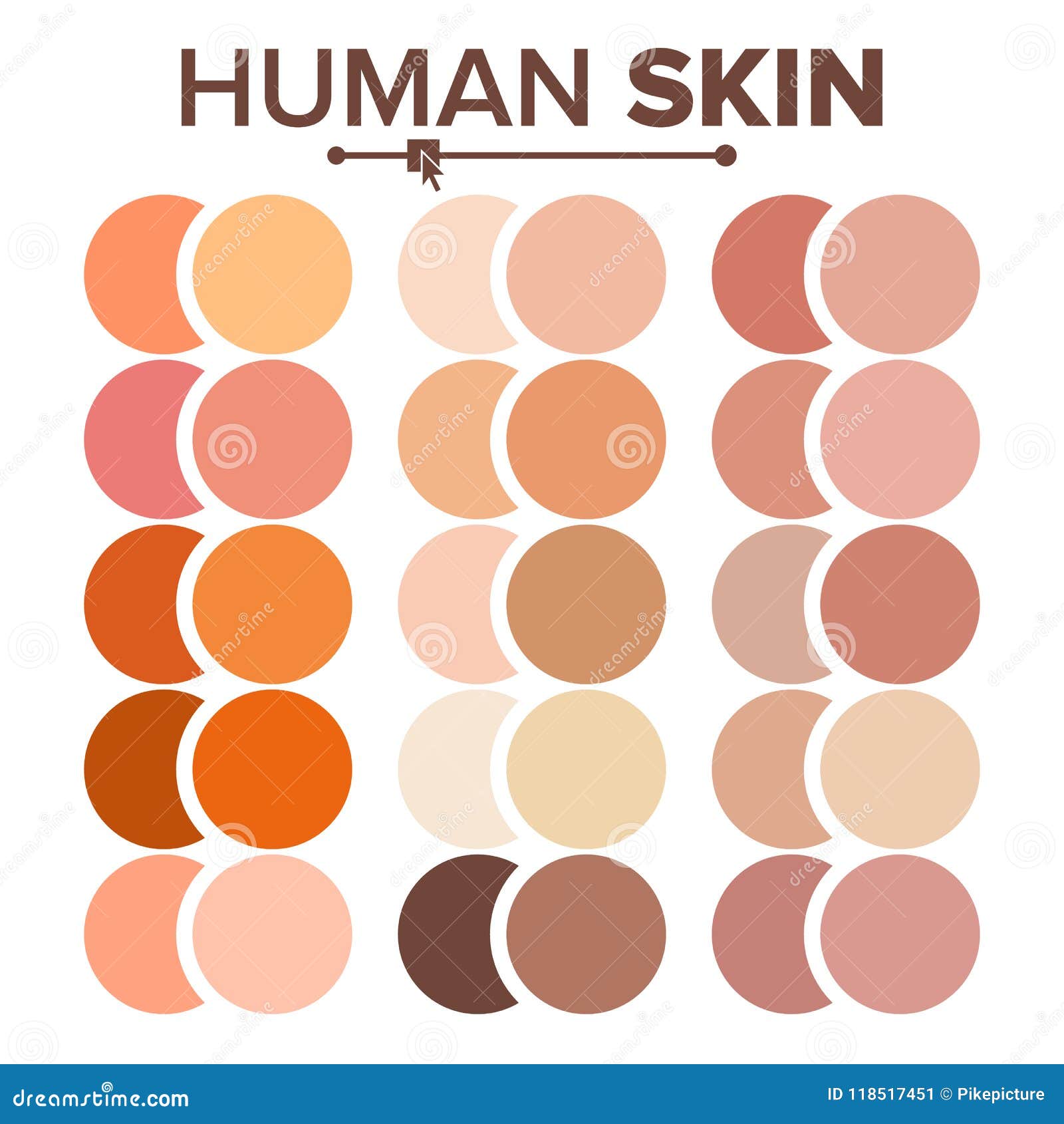 Skin Human Vector. Various Body Tones Chart. Realistic Texture Palette ...