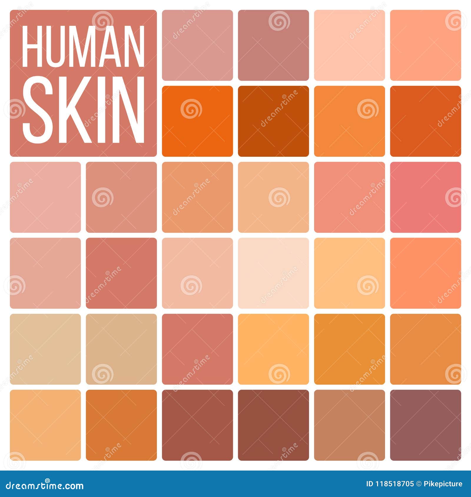 Skin Chart