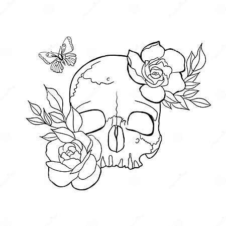 Human Skull with Roses Drawing in Tattoo Style. Isolated on White. a ...