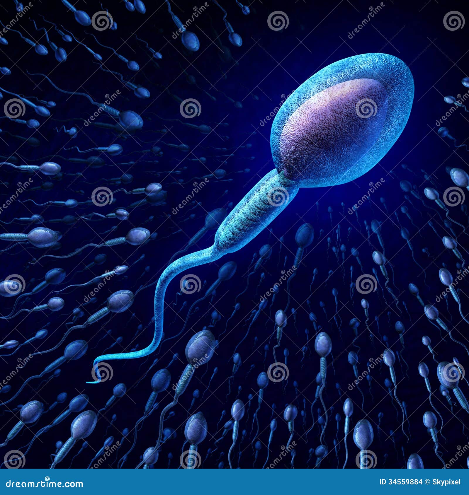 Sperm And Egg Cell Natural Fertilization 3d Illustration On Red Background