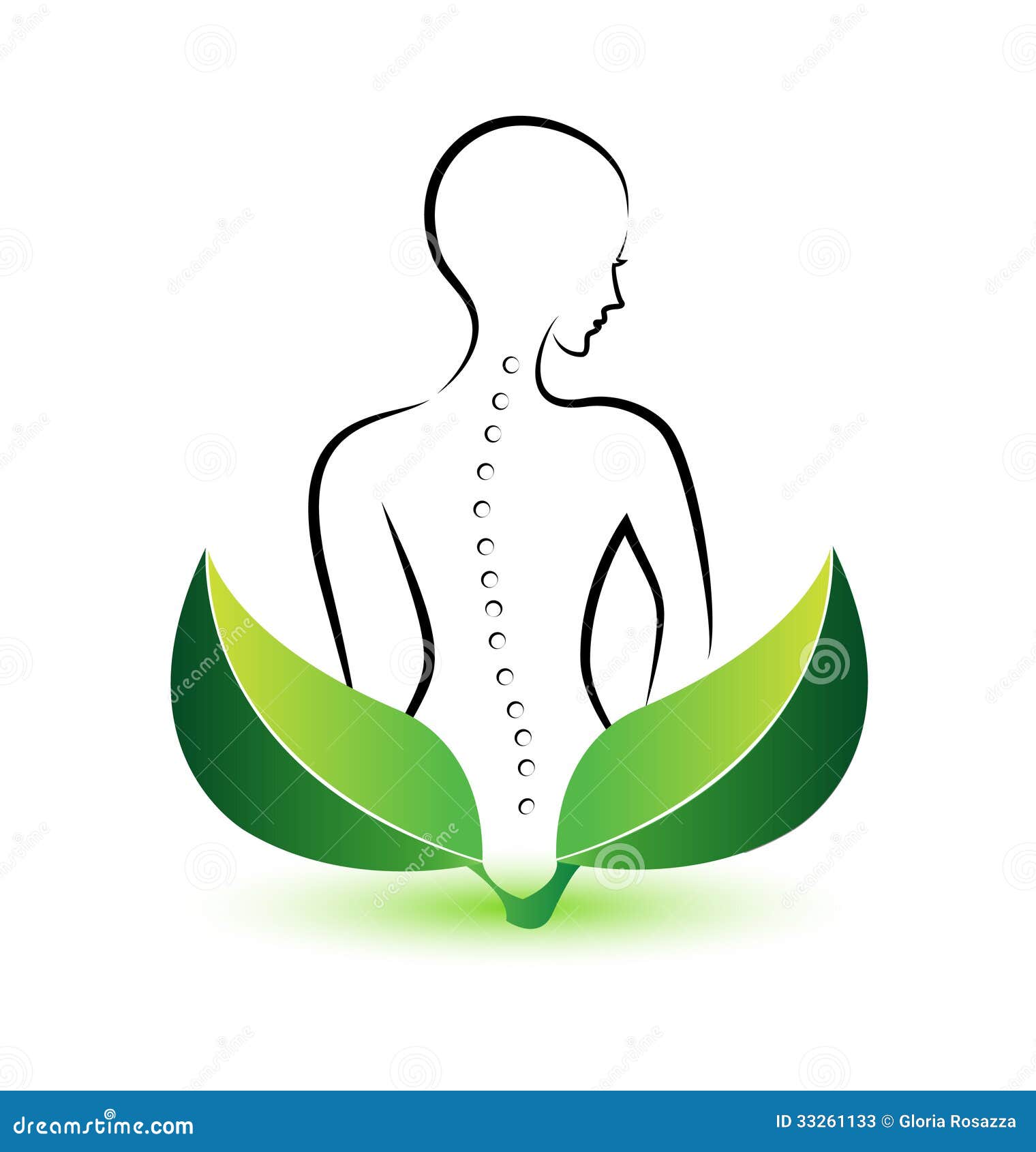 Human Spine Logo Stock Vector Illustration Of Contour 33261133