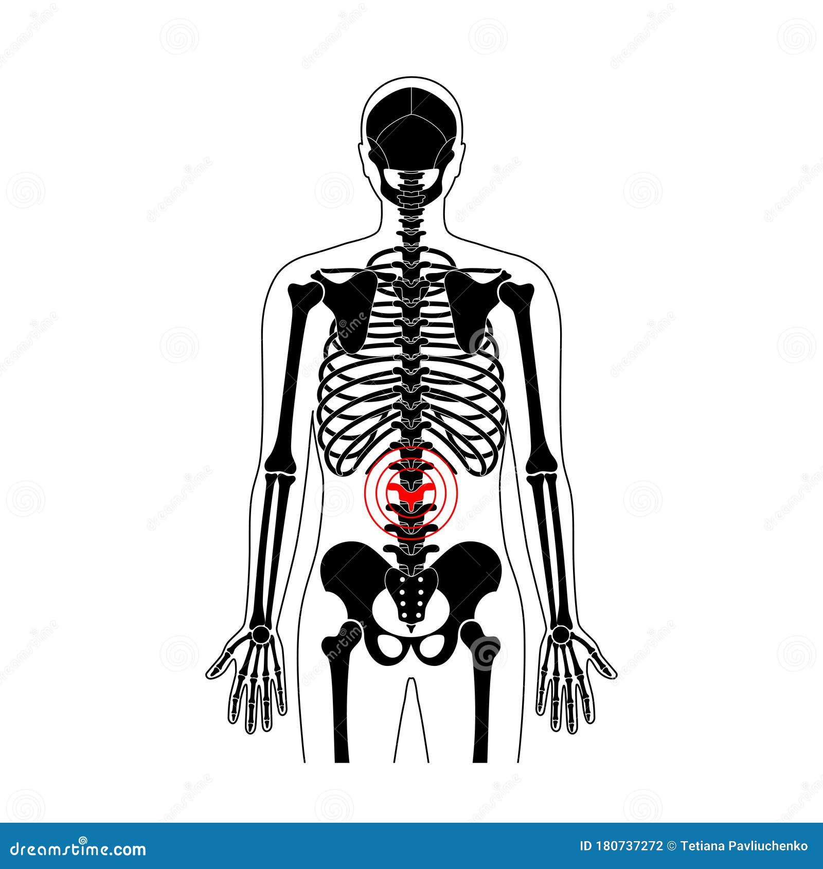 human spine pain  