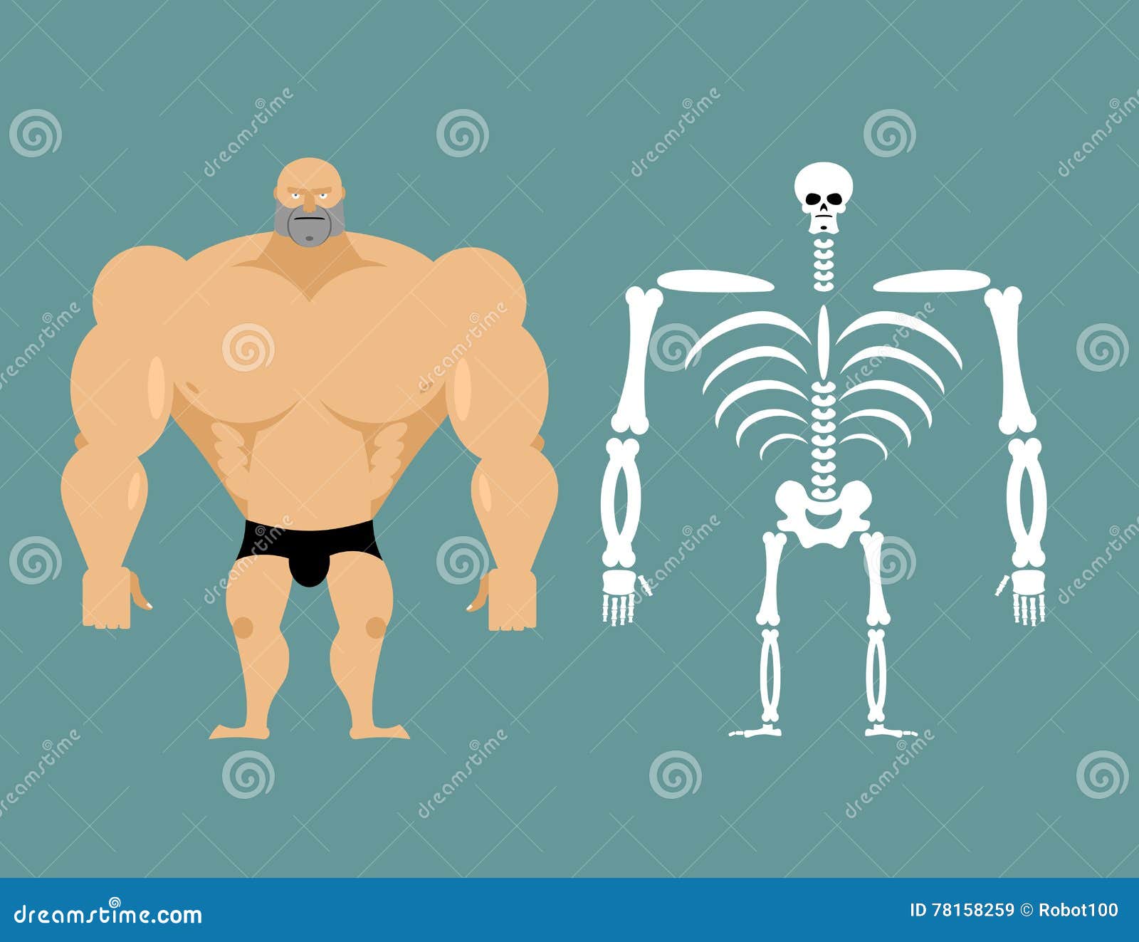 Human Structure. Skeleton Men. Construction of Athlete Stock Vector