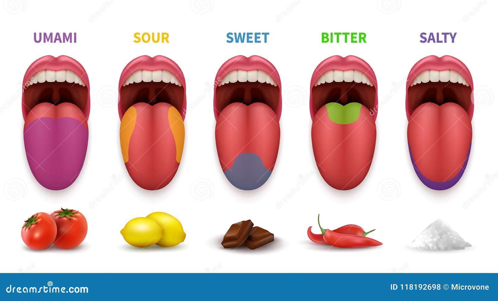 human tongue basic taste areas. smack map in mouth sweet, salty, sour, bitter and umami  diagram  on white