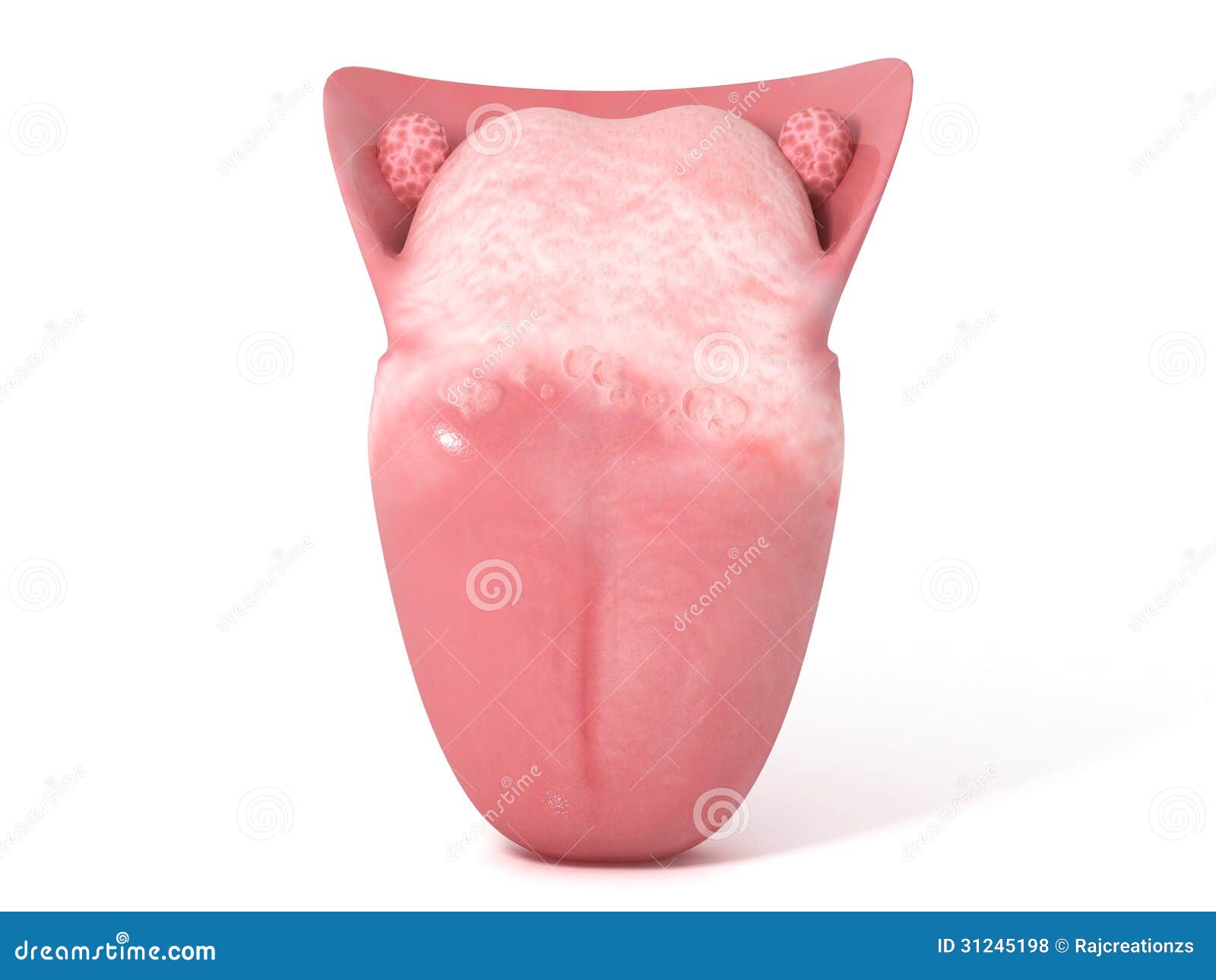 Human Tongue Royalty Free Stock Photos - Image: 31245198