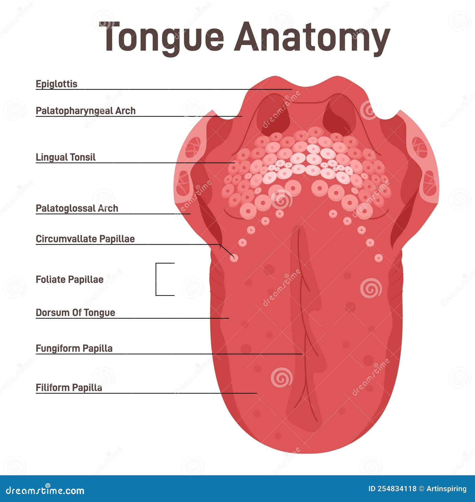 Foot tongue