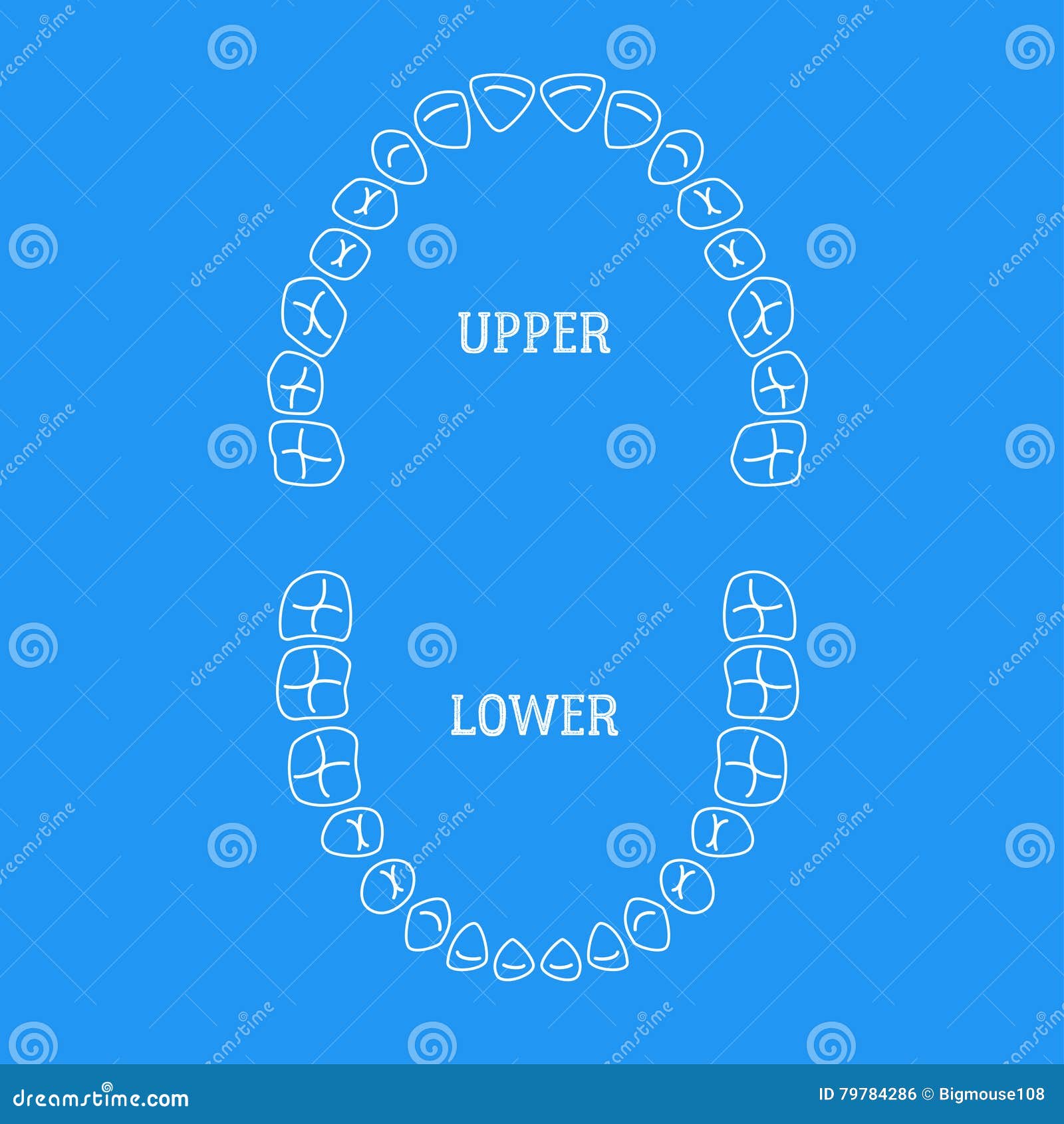 Human Tooth Thin Line on Blue. Vector Stock Vector Illustration of medical, line 79784286