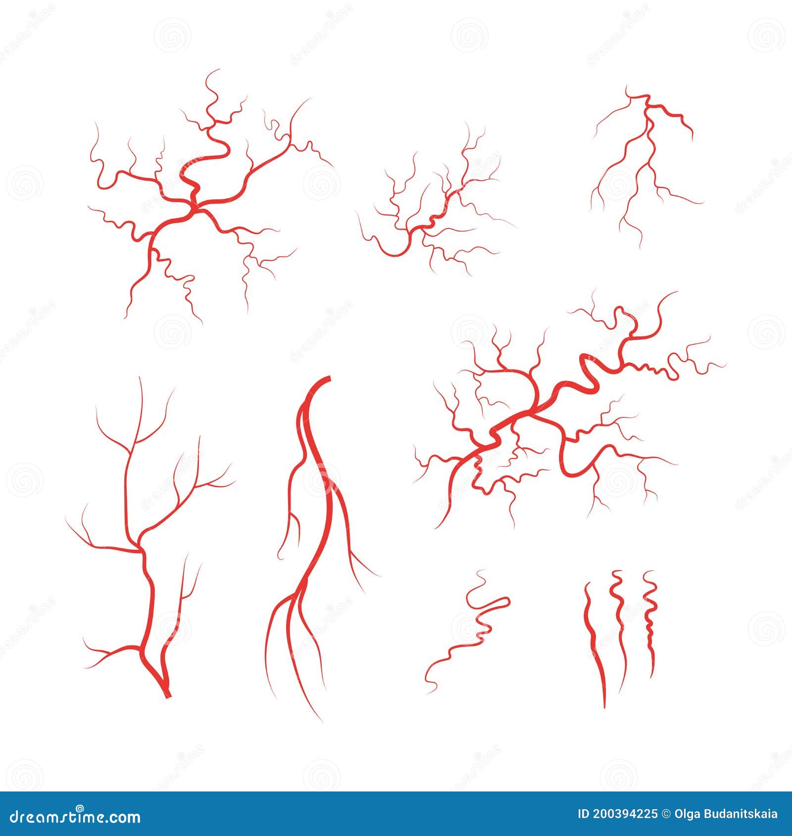 Human Veins Red Blood Vessel Set Vector Stock Vector - Illustration of ...