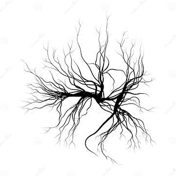 Human Veins, Red Blood Vessels Design. Vector Illustration on White ...